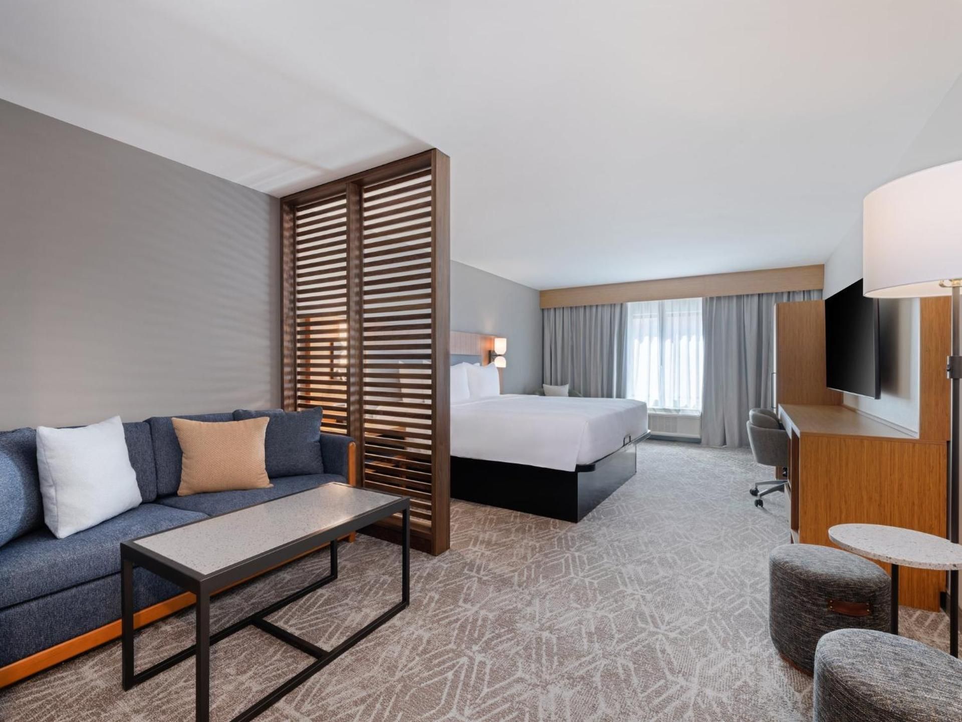 1 King Premium Sofa Bed