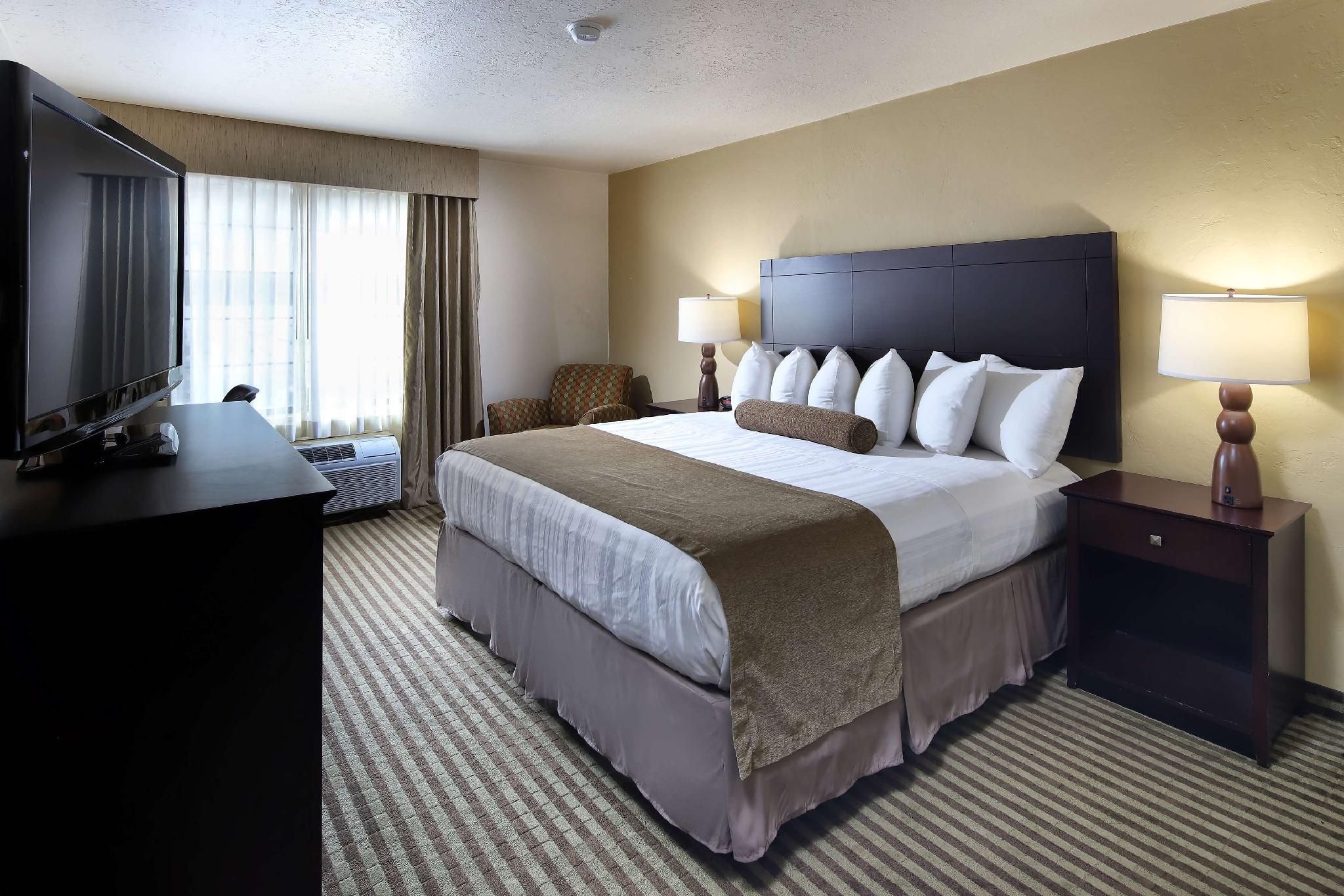 1 King Bed, Non-Smoking