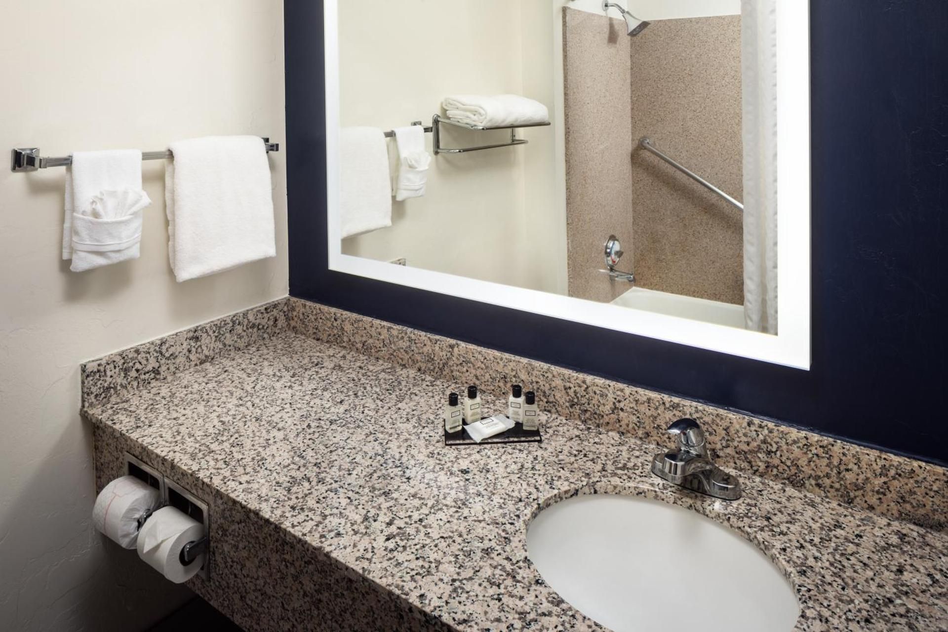 1 King Bed, Mobility Accessible Room, Roll-In Shower, Non-Smoking