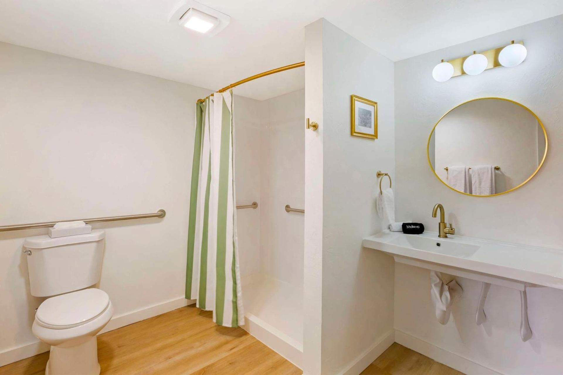 King Room with Roll-In Shower - Pet Friendly/Disability Access