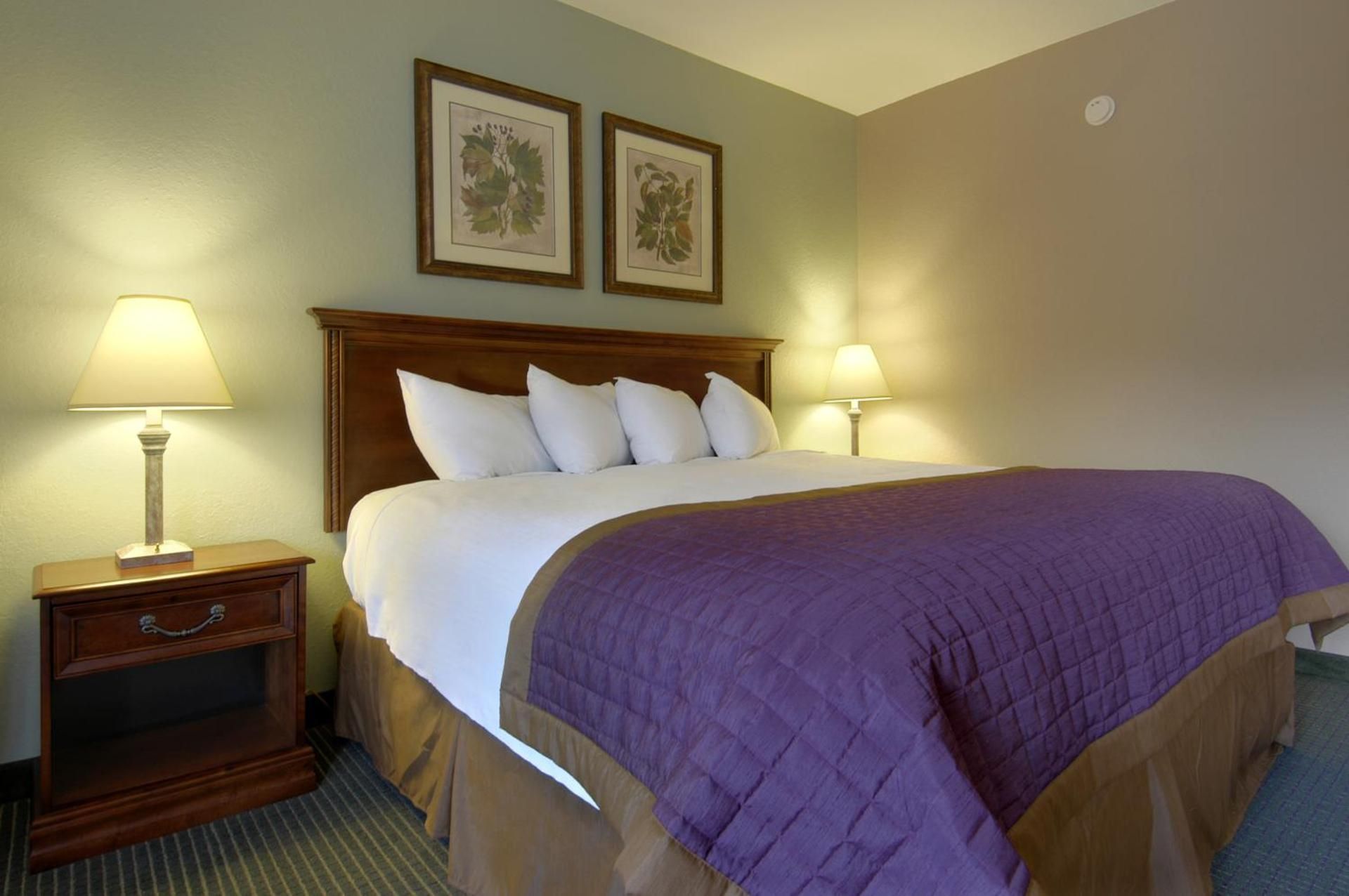 Bay Mountain Inn Cherokee Smoky Mountains Queen Room - Disability Access - Non-Smoking