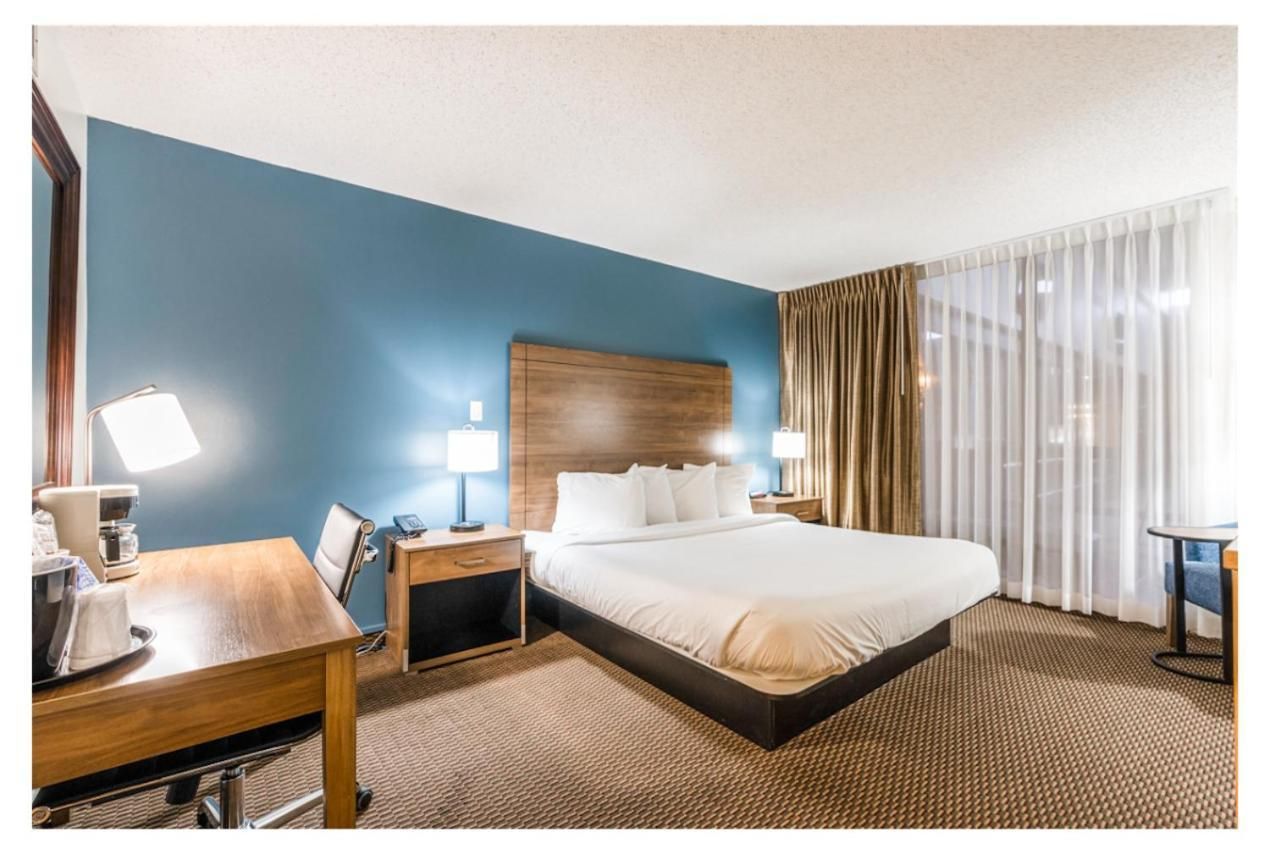 Standard King Room