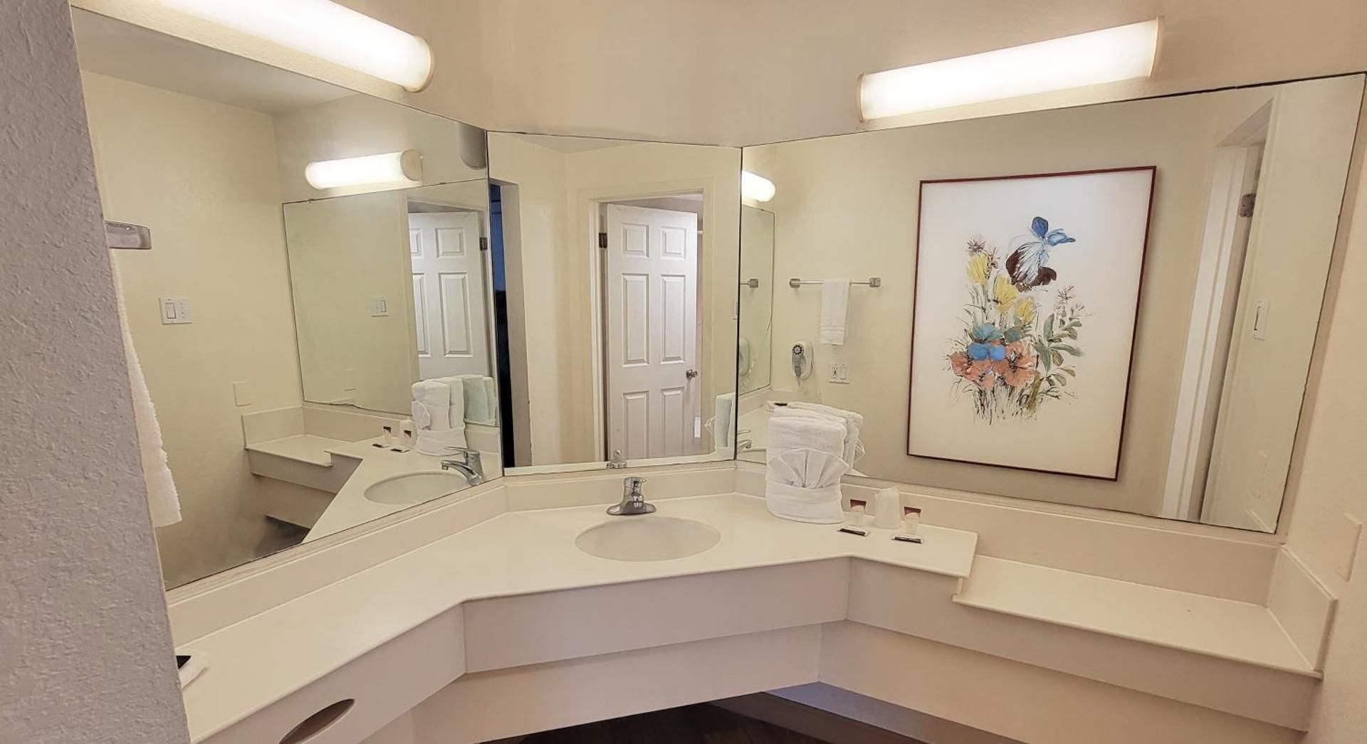 Flex Studios Culebra