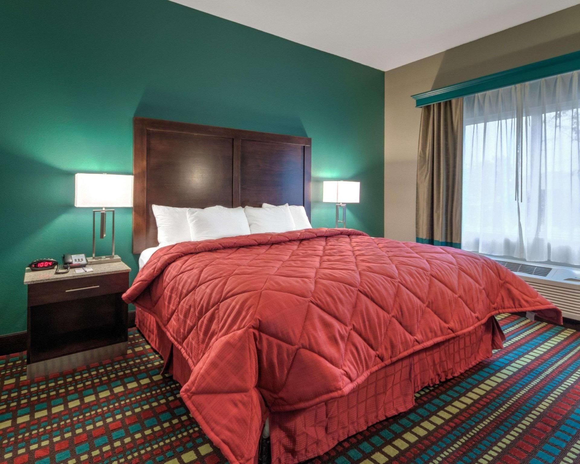 1 King Bed, Efficiency, Suite, Nonsmoking, Accessible