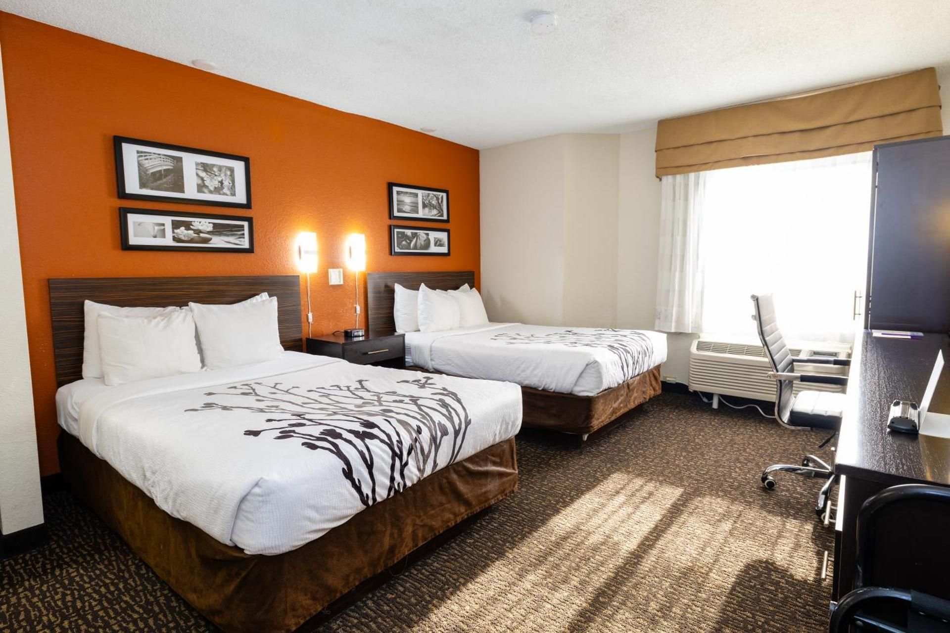 Sleep Inn Ormond Beach - Daytona 2 Double Beds, Nonsmoking