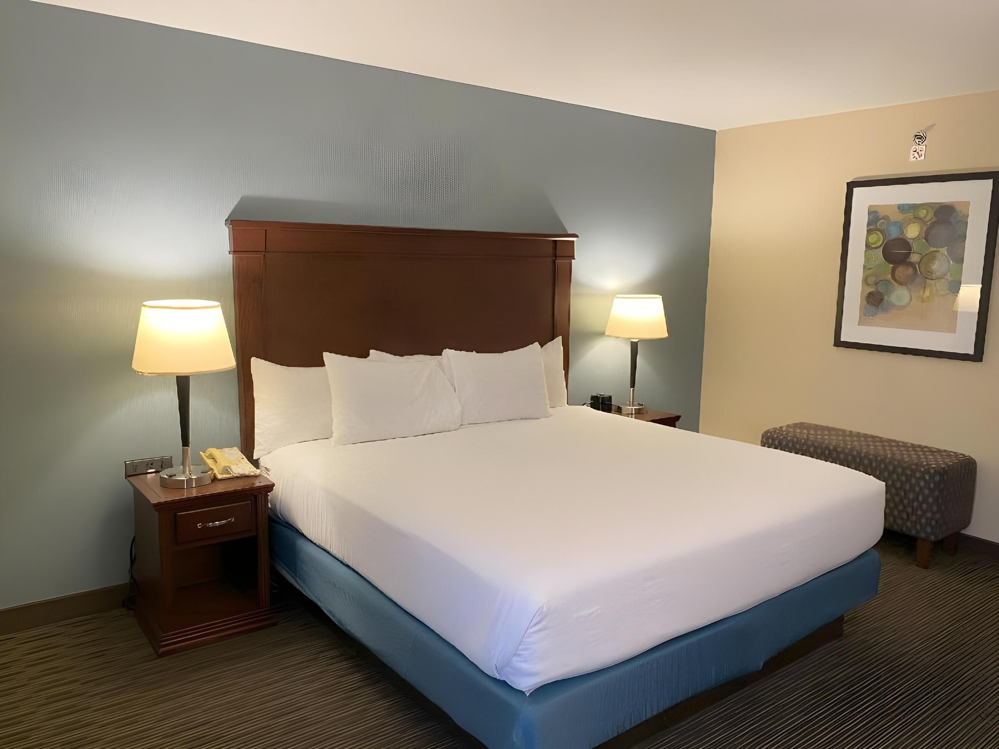 1 King One Bedroom Suite