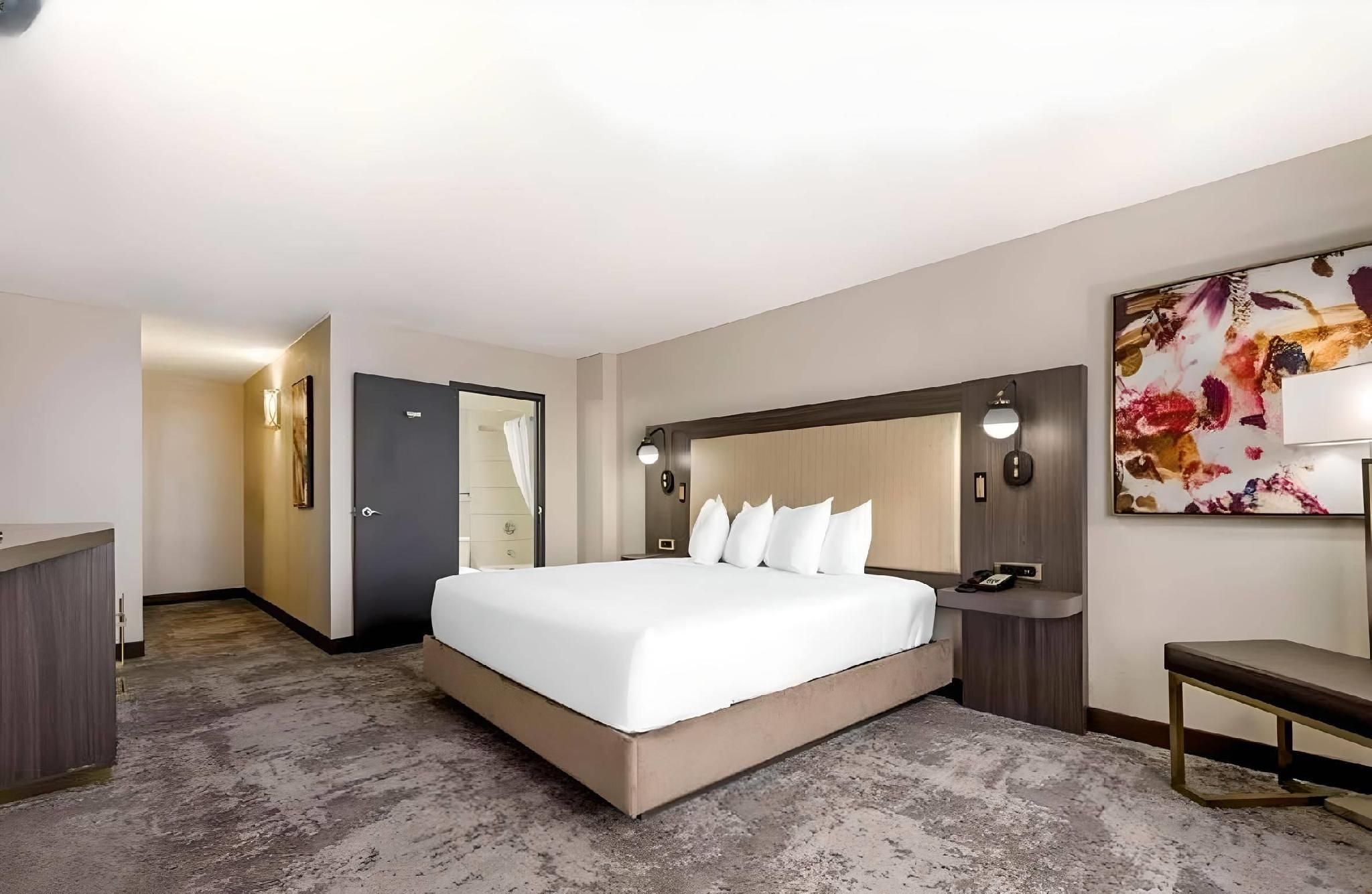 1 King Bed, Nonsmoking, Accessible
