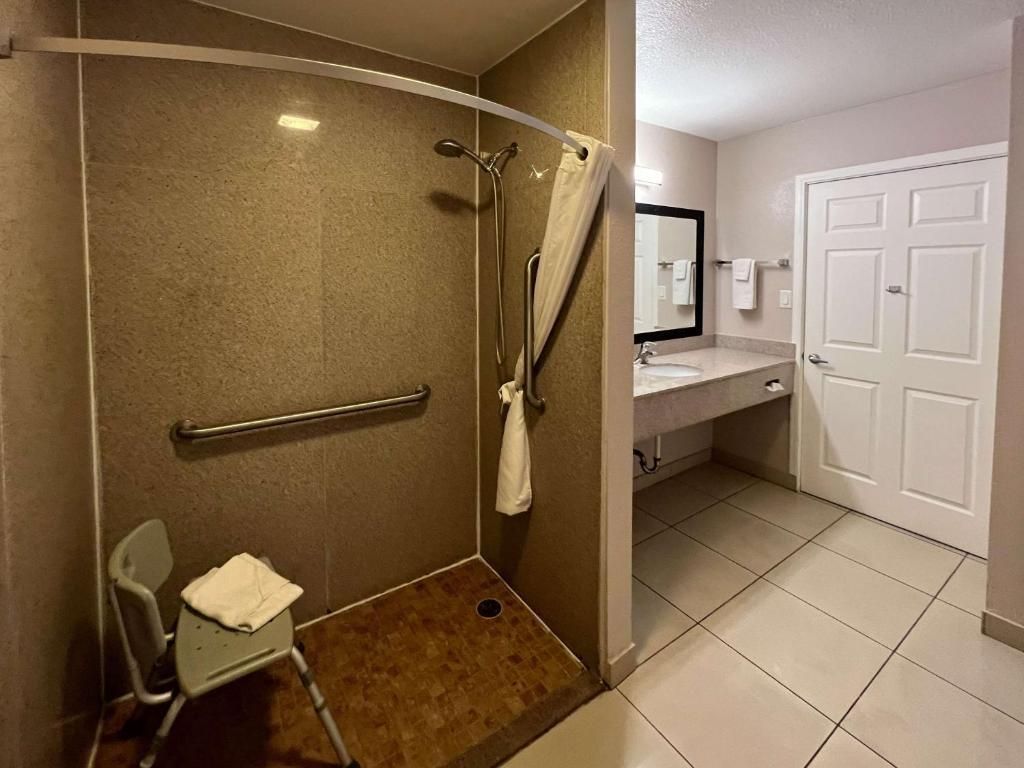 1 King Bed, Mobility Accessible Room, Roll-In Shower, Non-Smoking