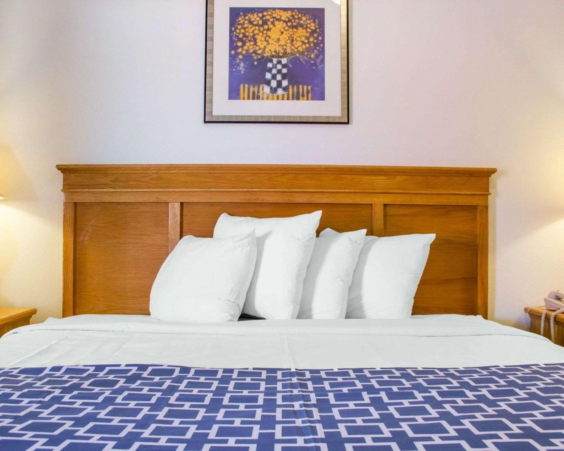 1 King Bed, Nonsmoking