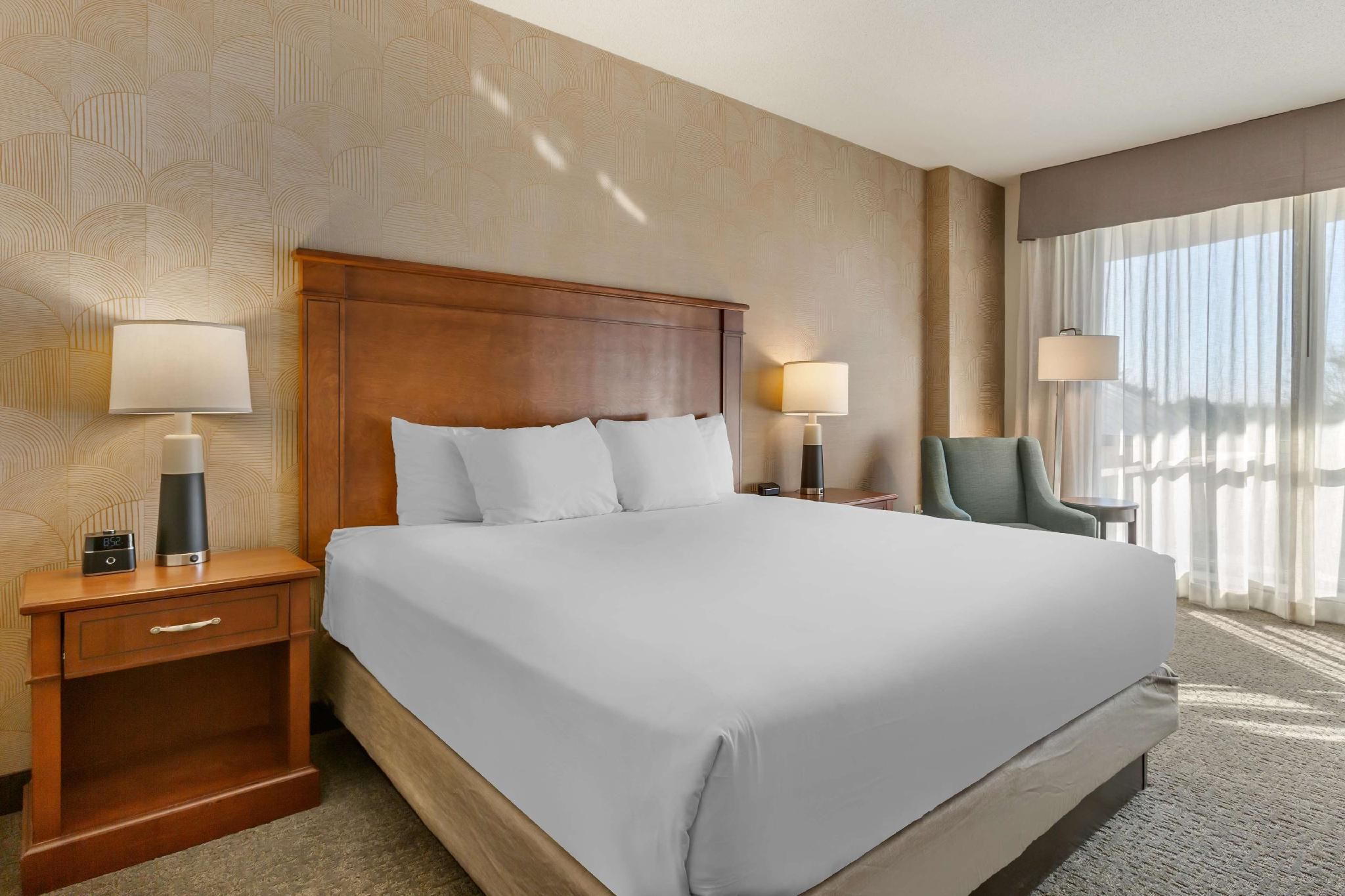 1 King Bed