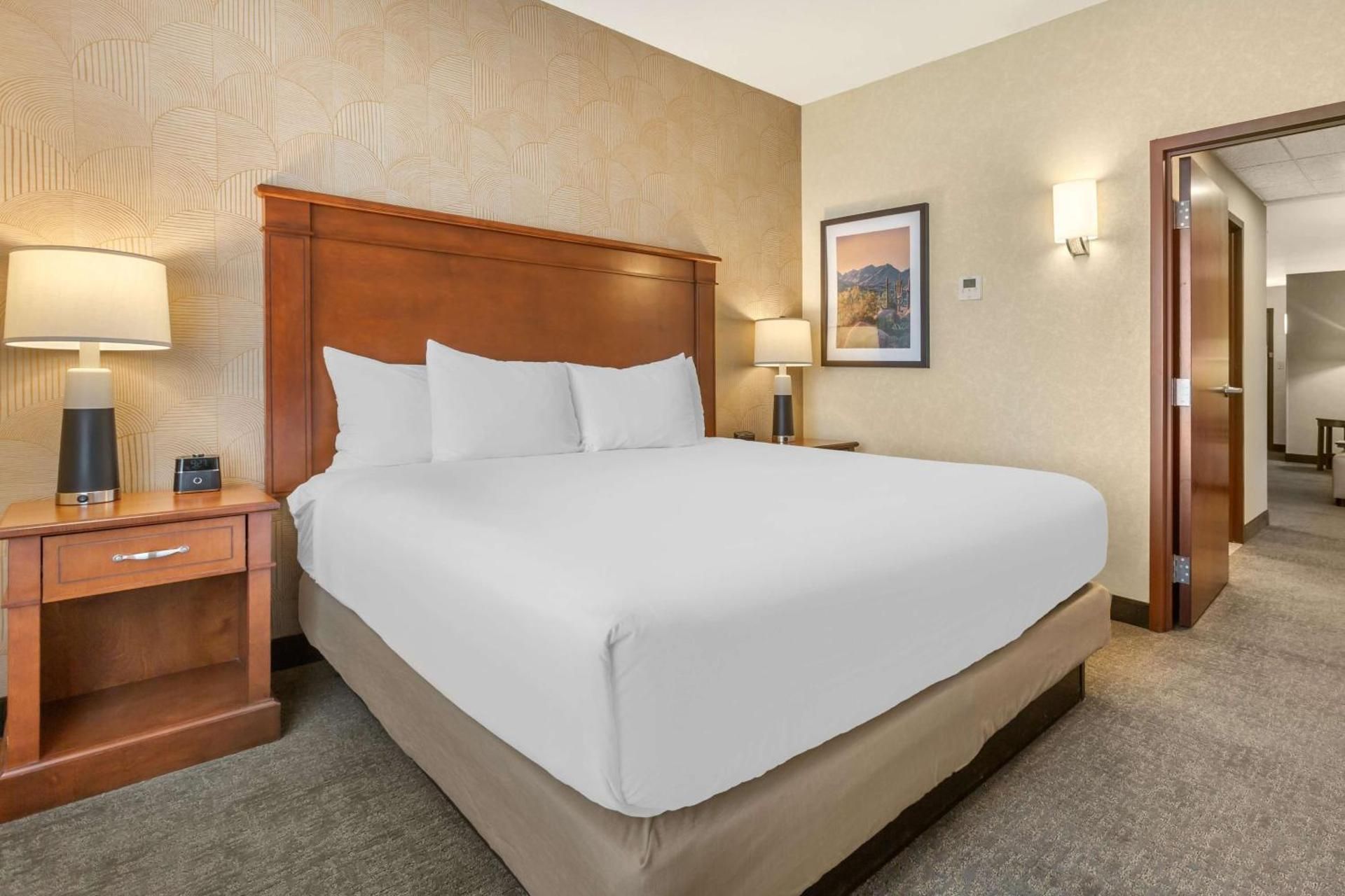 King Suite with Sofa Bed - Accessible, Tub