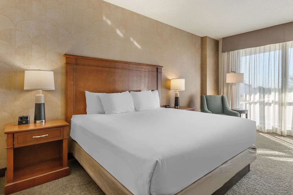 Room, 1 King Bed, Accessible (Roll in Shower)