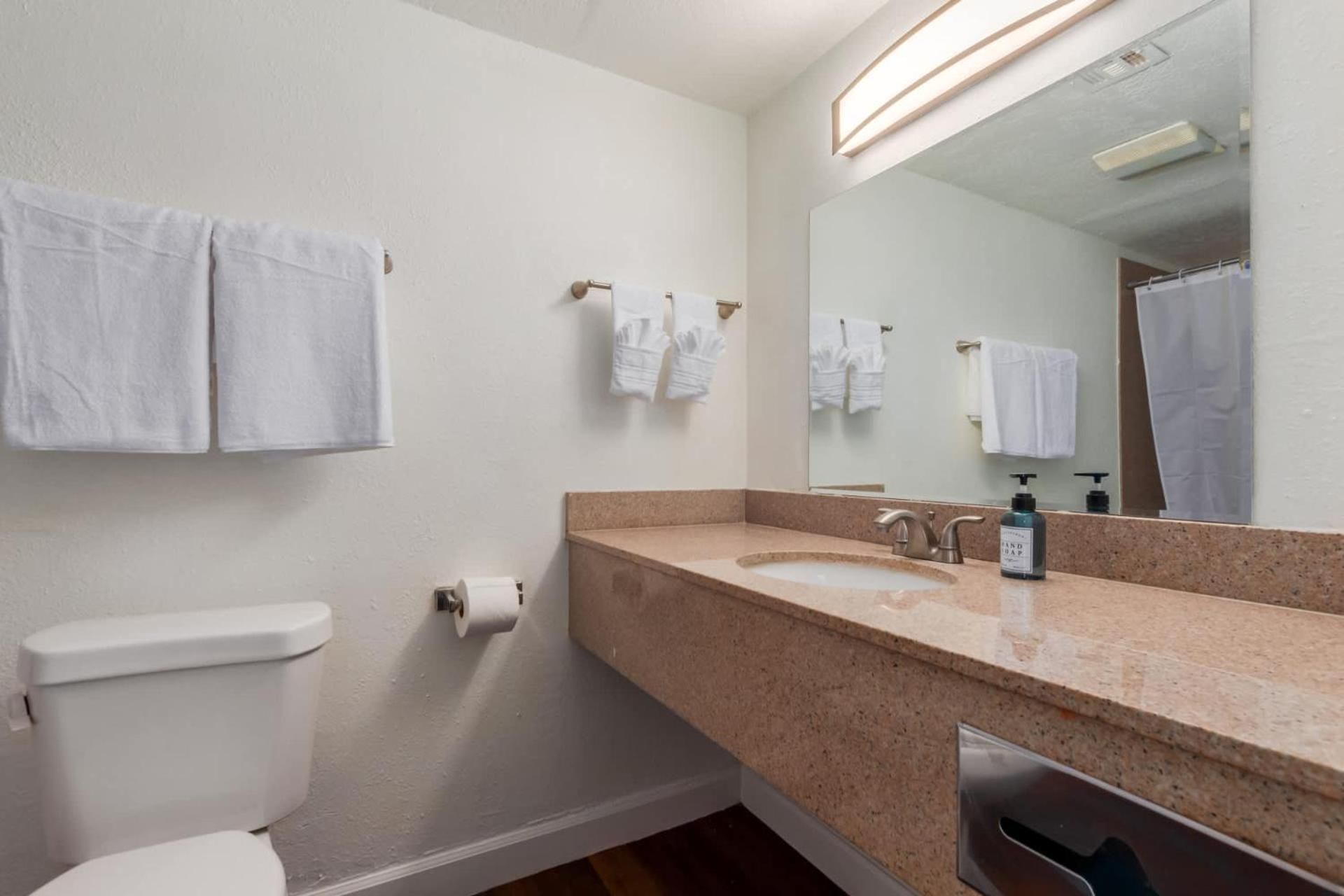 Tempe Oasis King Suite 2