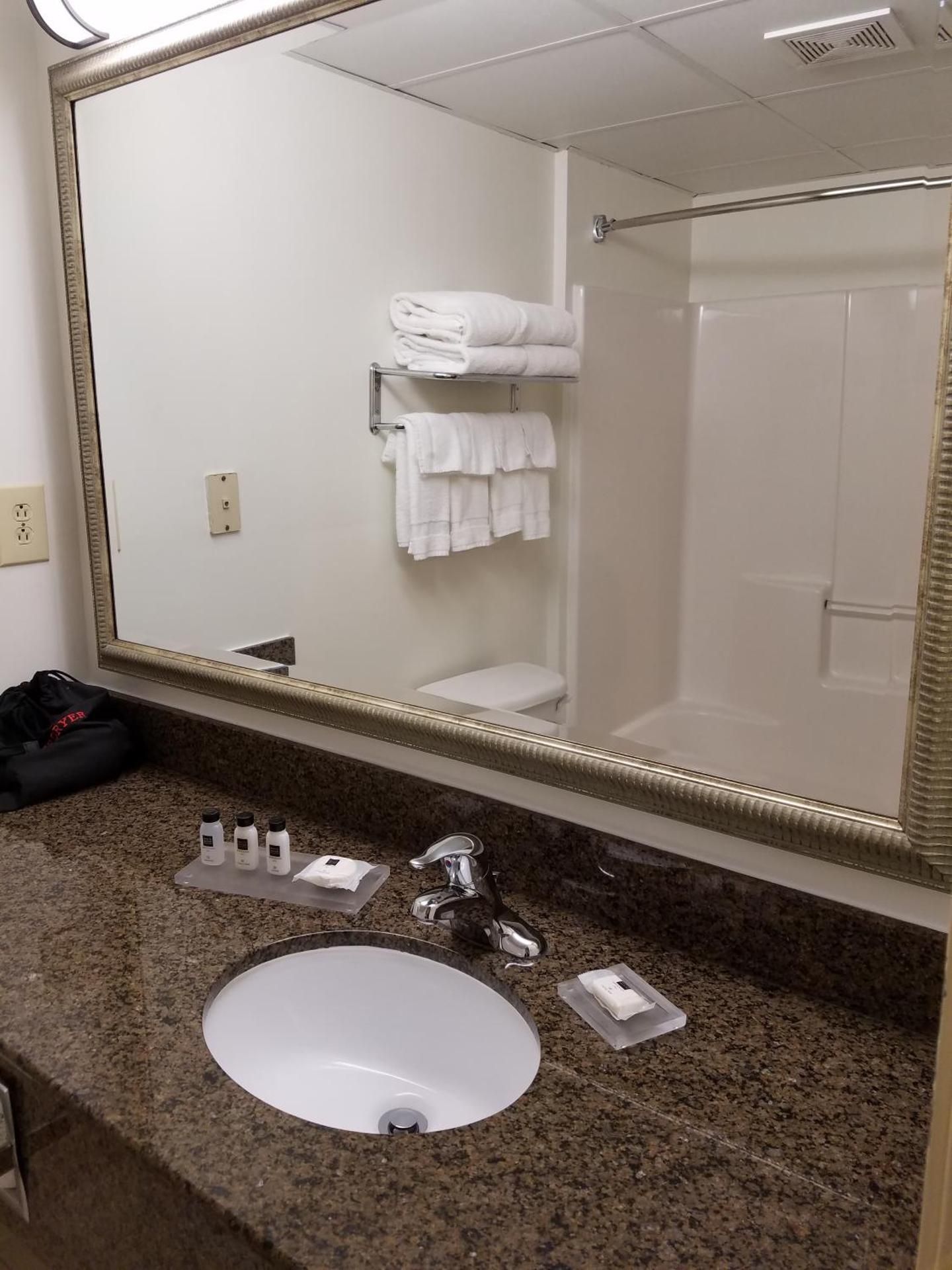 1 King Bed, Suite, Nonsmoking