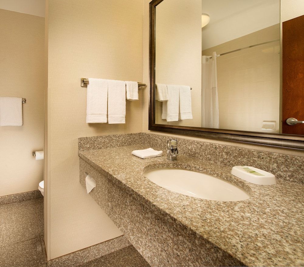 Drury Inn & Suites near Universal Orlando Resort Room, 1 King Bed, Accessible (Tub) 4