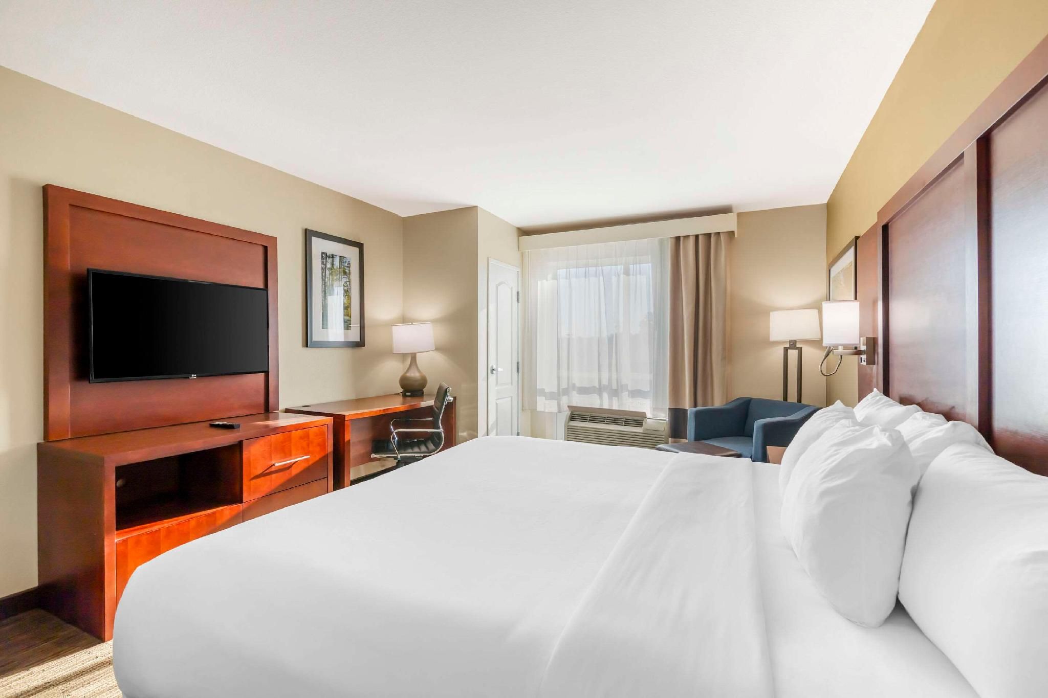 1 King Bed, Nonsmoking