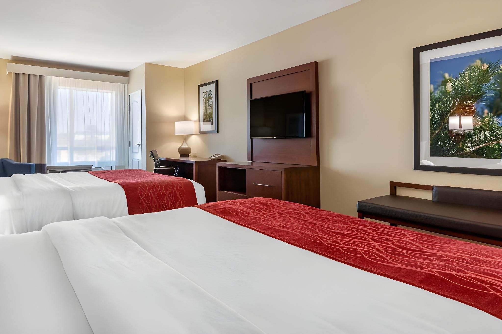 Comfort Inn & Suites 2 Queen Beds, Nonsmoking, Accessible 2