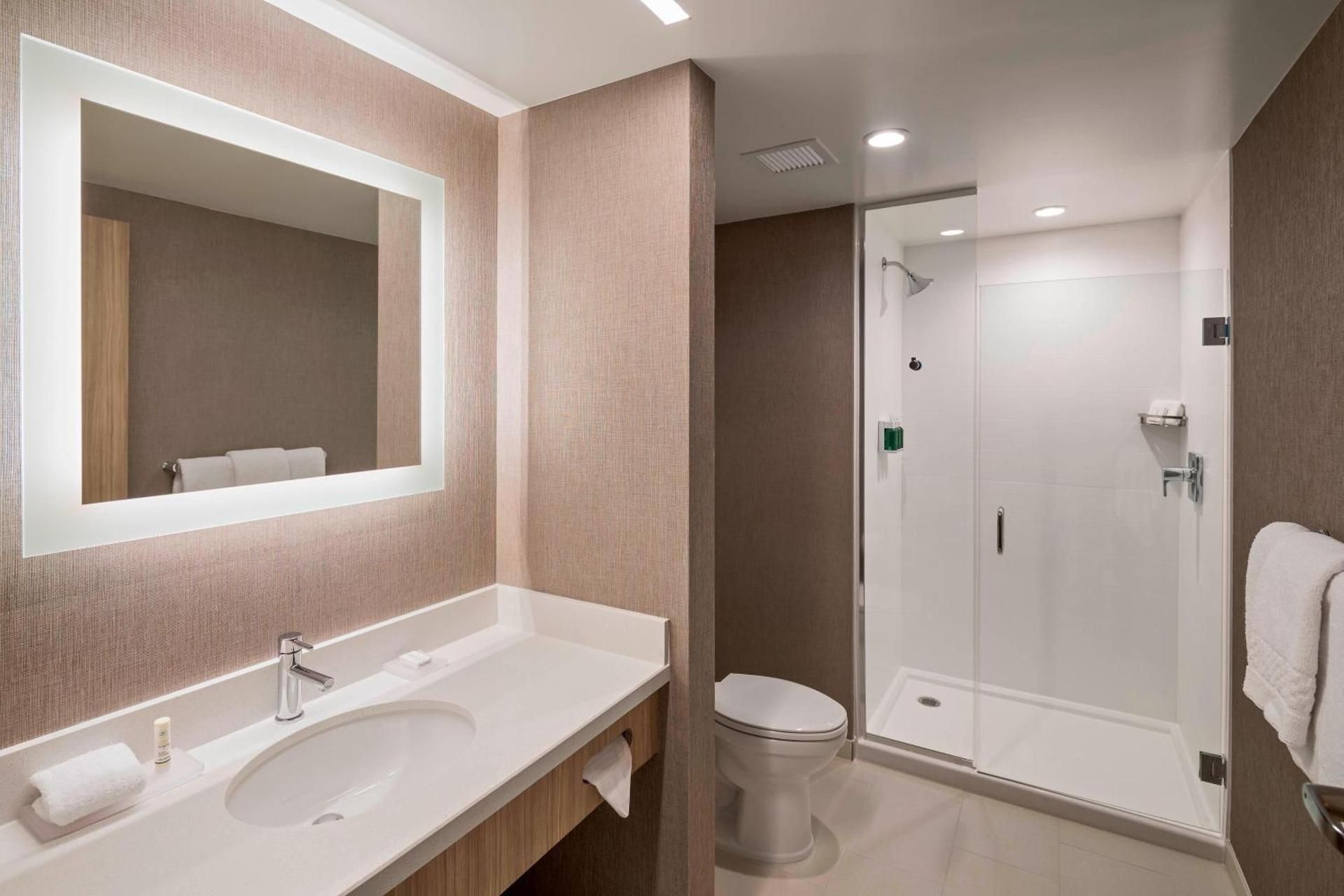 One-Bedroom King Suite with Sofa Bed