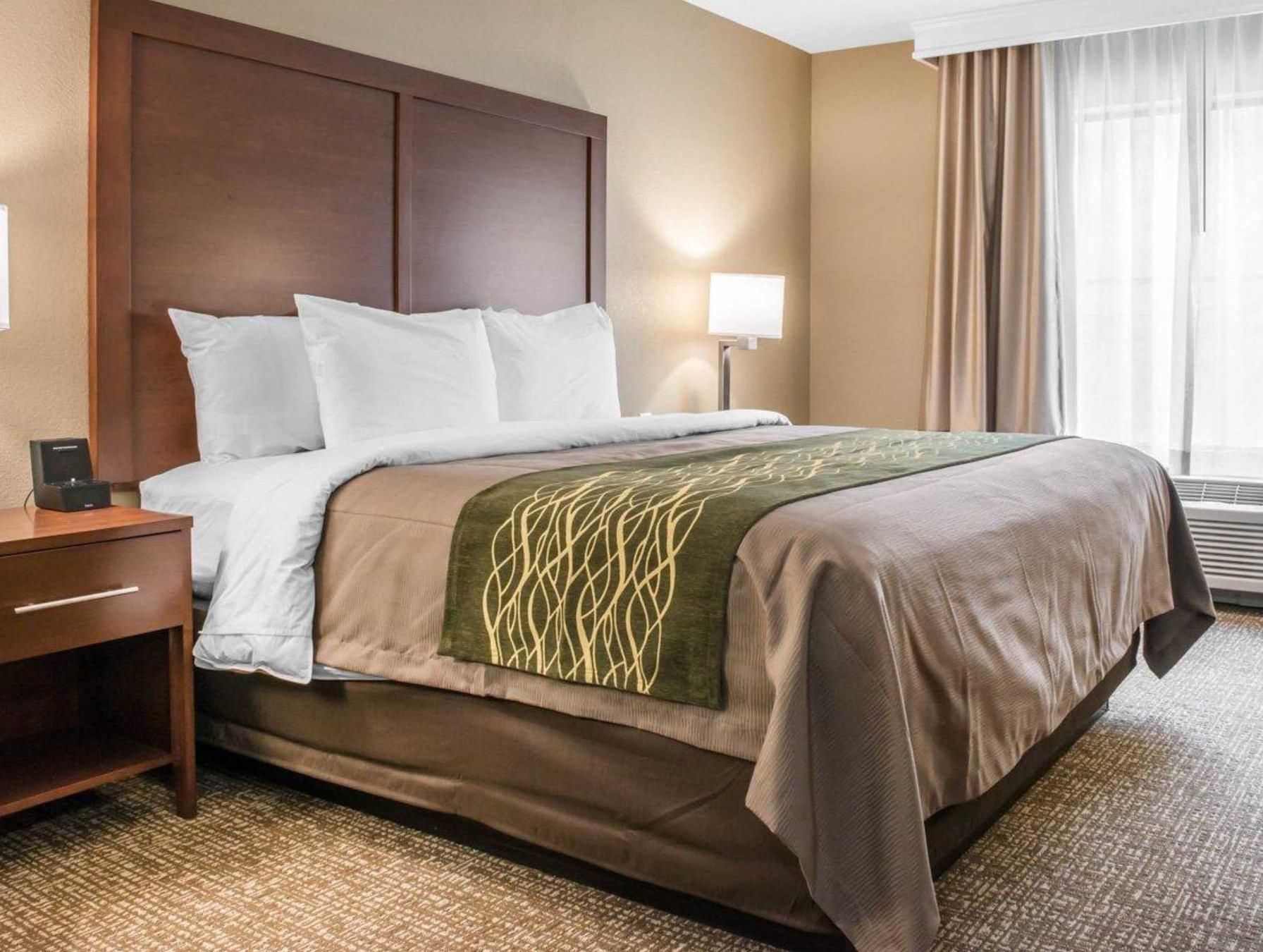 King Suite with Sofa Bed