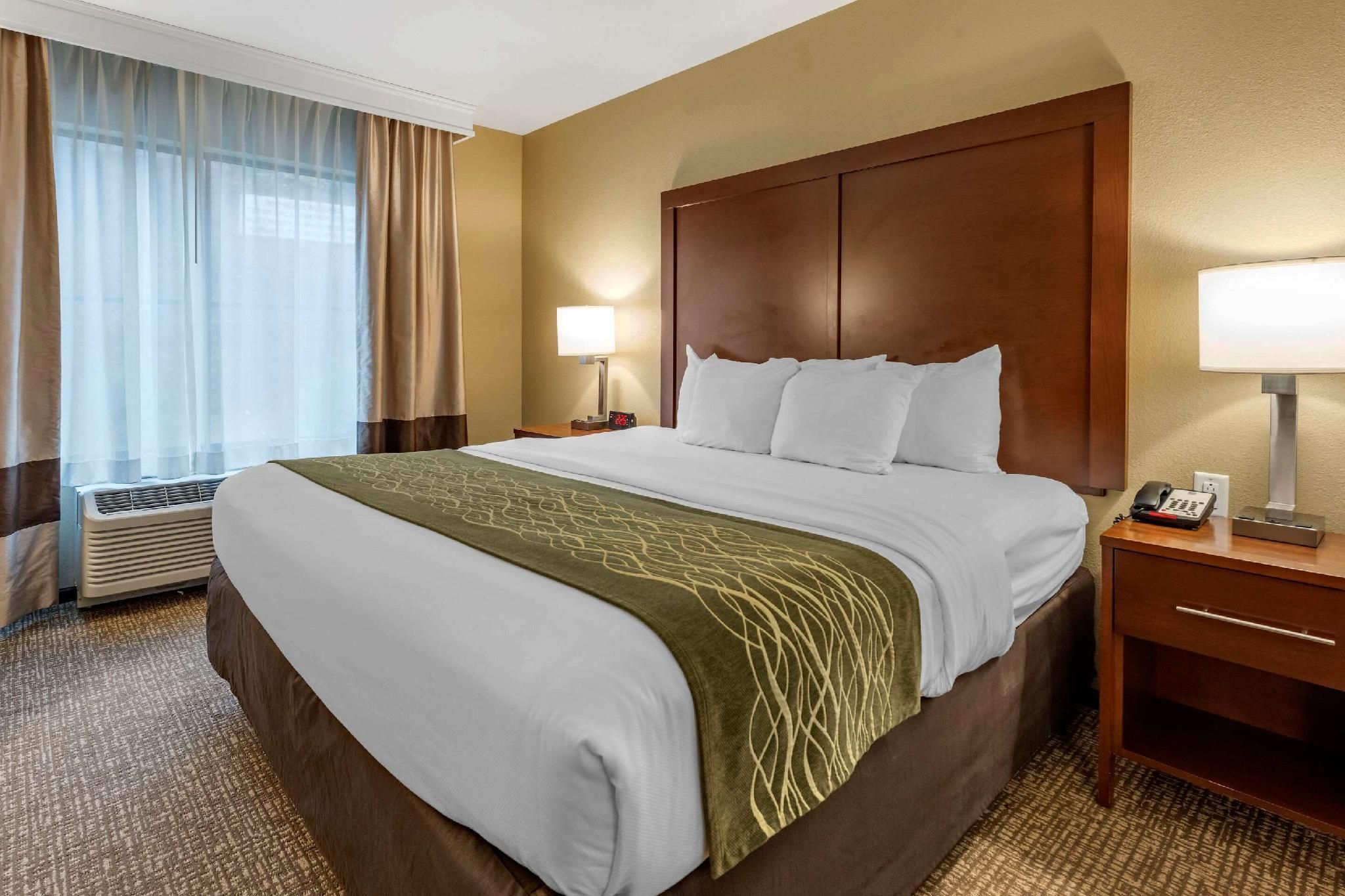 1 King Bed, Suite, Nonsmoking