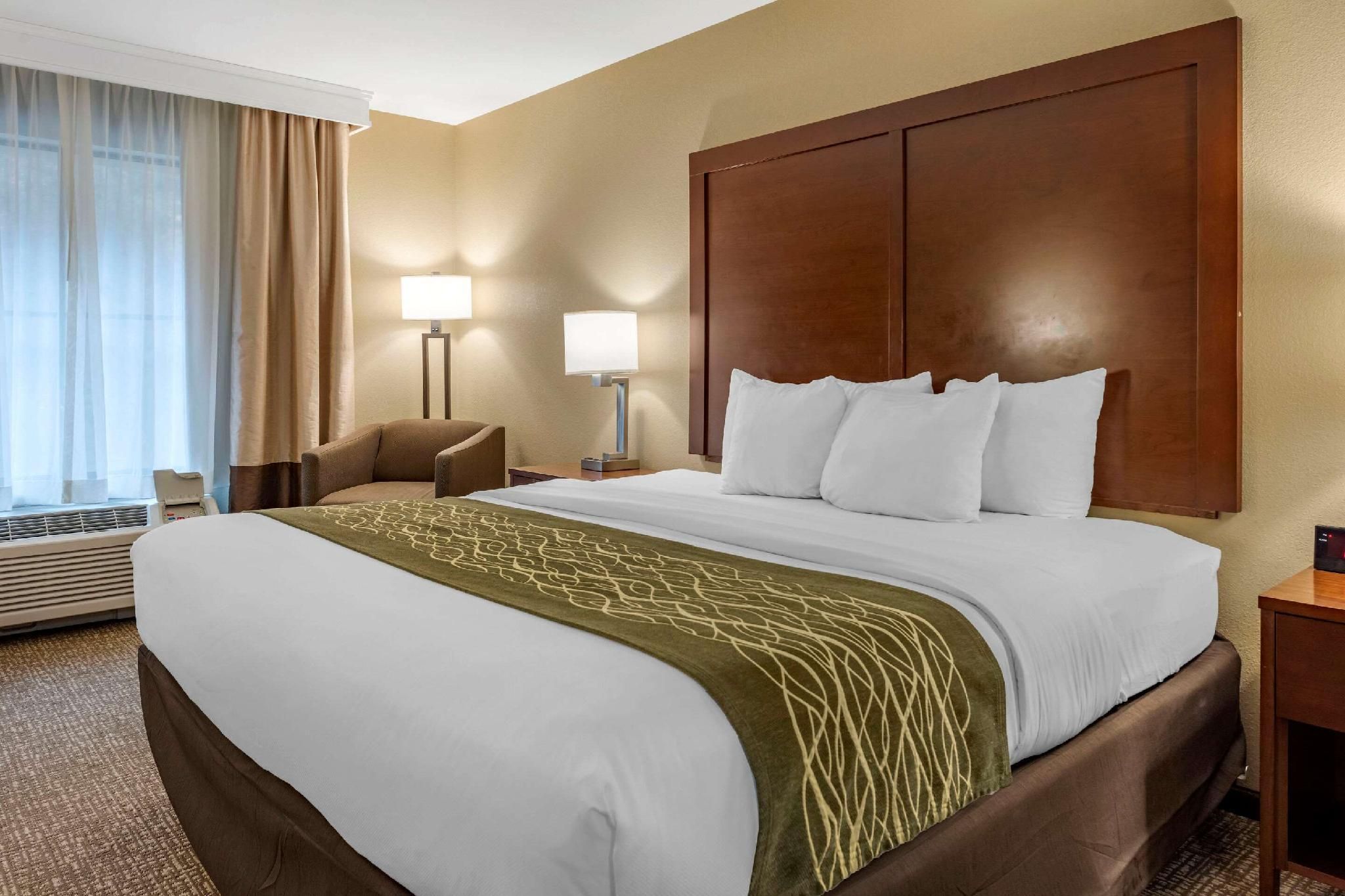1 King Bed Non-Smoking Accessible