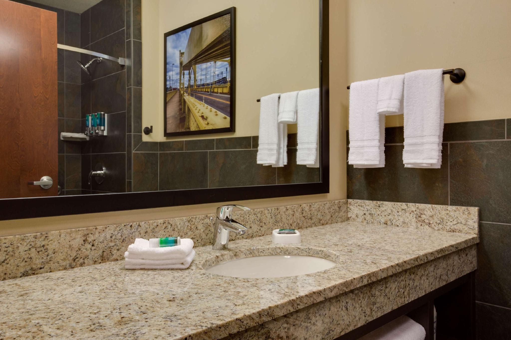 1 King Bed Suite, 2 Rooms with Sofa Sleeper, Hearing Accessible with Roll-In Shower