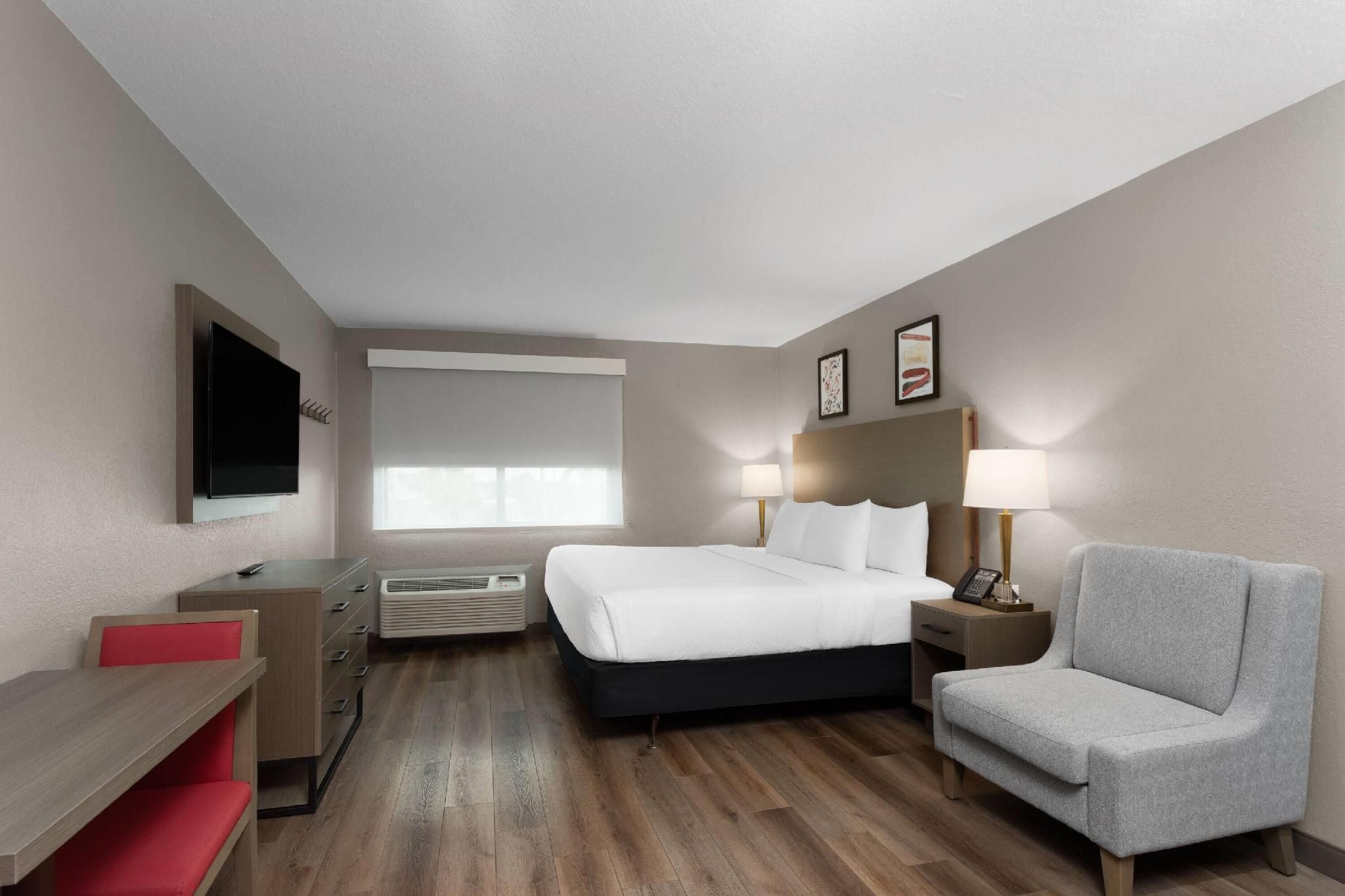 1 King Bed, Non-Smoking