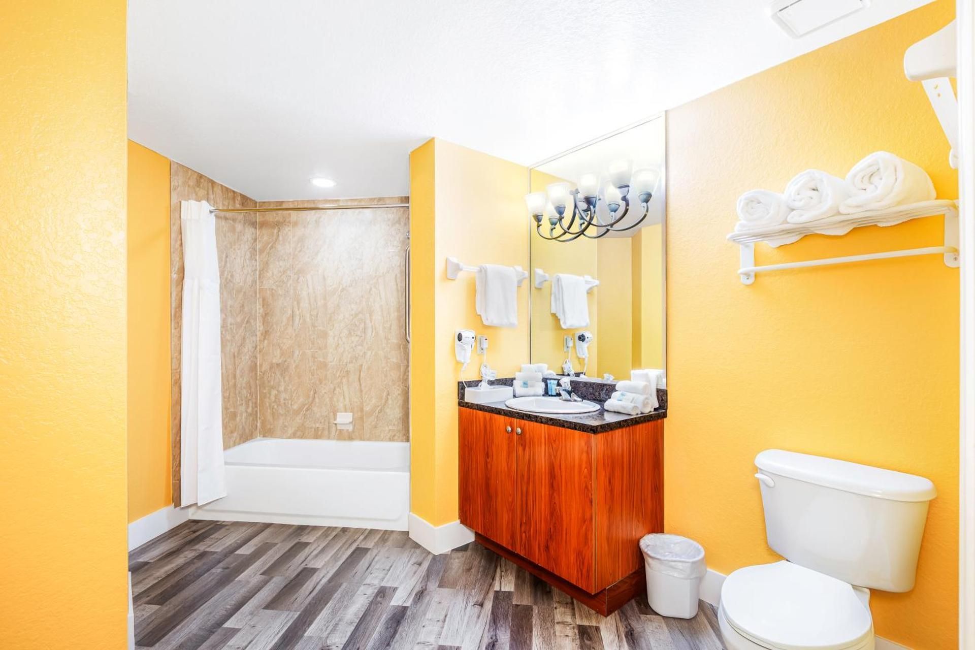 Luxury One-Bedroom Queen Suite