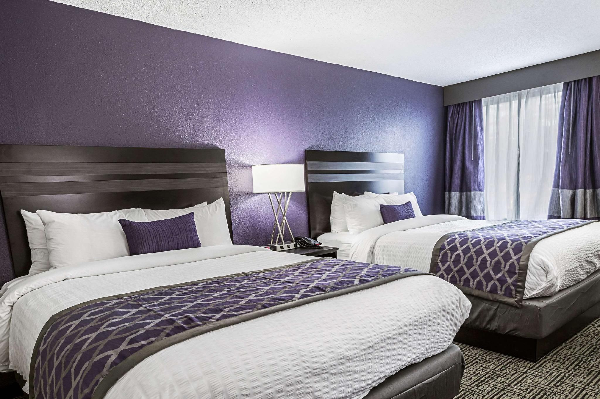1 bedroom Suite