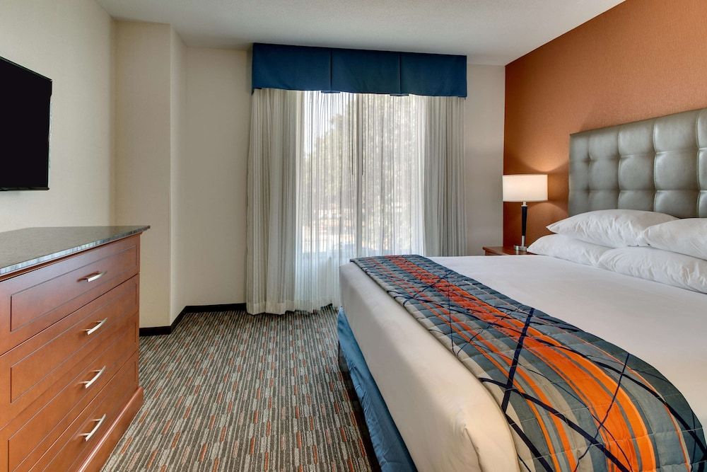 Suite, 1 King Bed with Sofa bed, Accessible (Sofa Sleeper, Roll-in Shower, 2 Rooms)