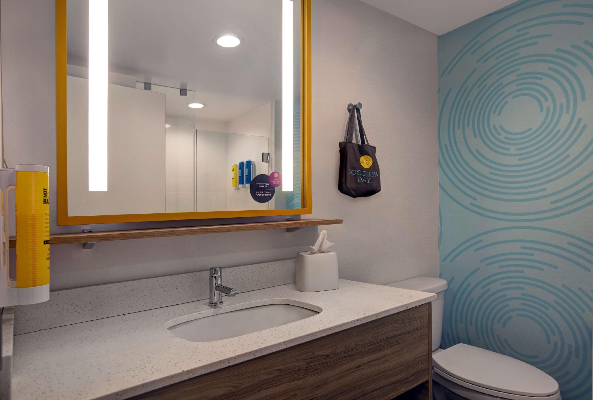 Tru by Hilton Knoxville West Turkey Creek 1 KING MOBILITY ACCESSIBLE ROLL IN SHOWER 3