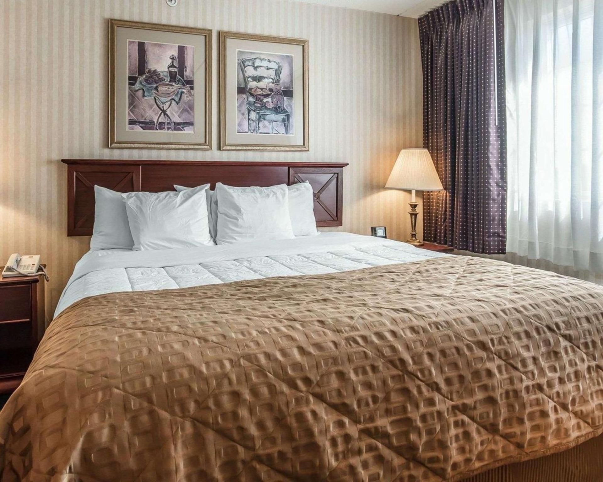 The Marx Hotel - Downtown - University Area Business King Room - Accessible/Non-Smoking 2