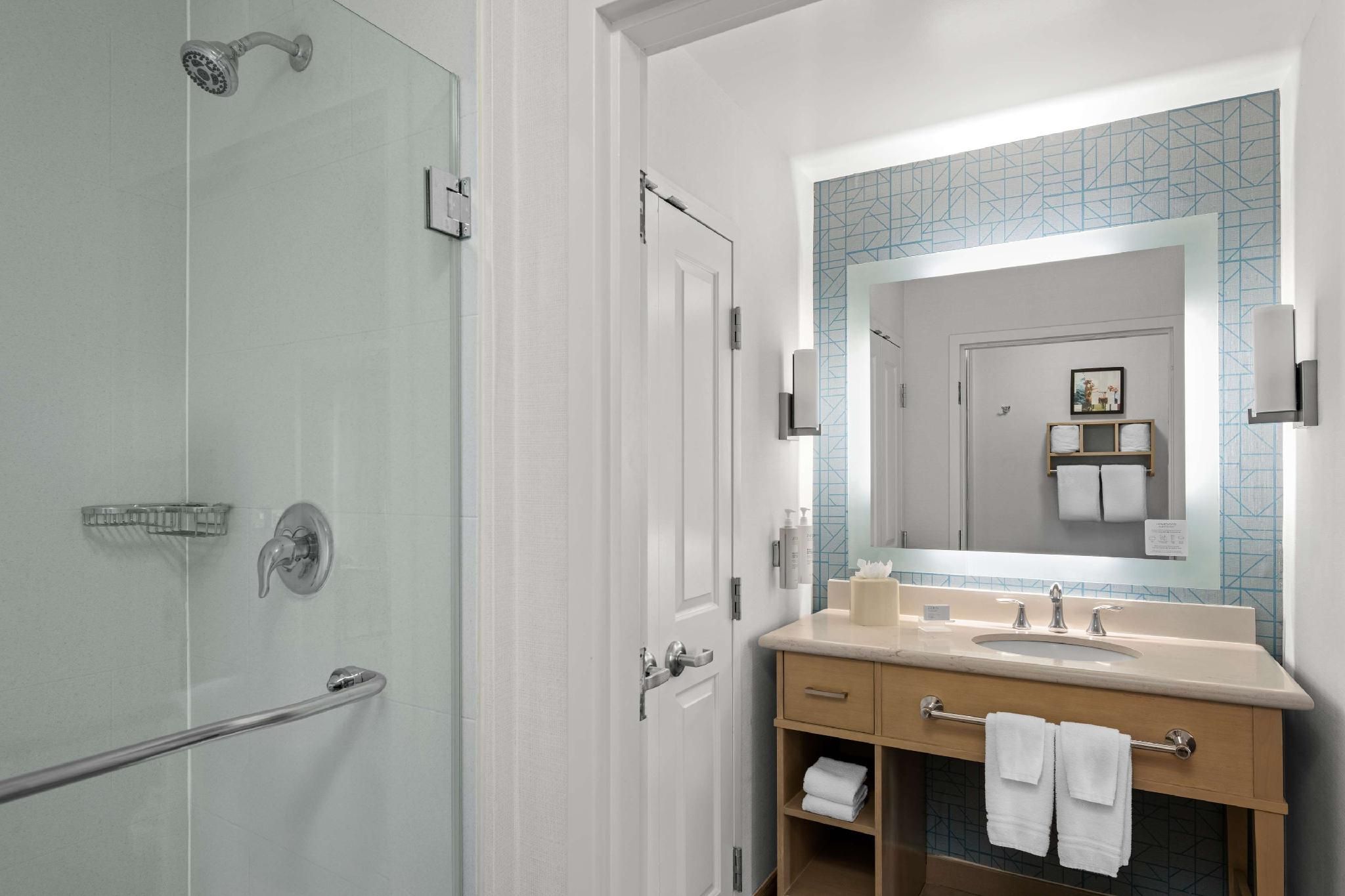 Homewood Suites by Hilton Anaheim Resort - Convention Center 1 KING BED NONSUITE NONSMOKING 3