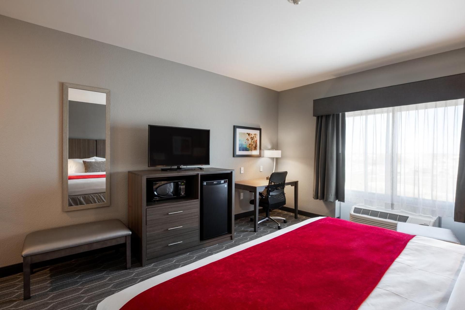 1 King Bed, Mobility/Hearing Accessible Room, Roll-In Shower, Non-Smoking