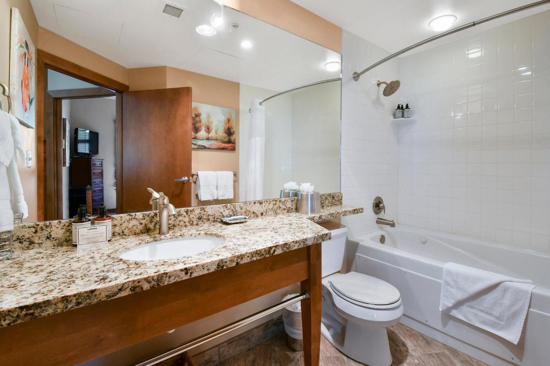 One Bedroom Condominium