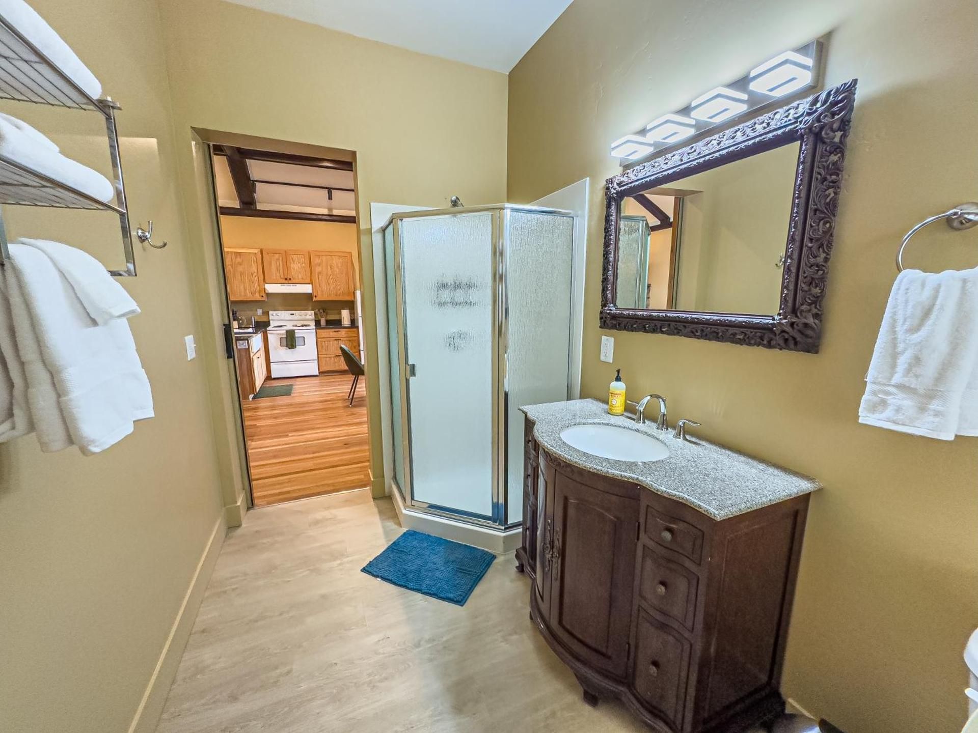 Deluxe One-Bedroom Apartment