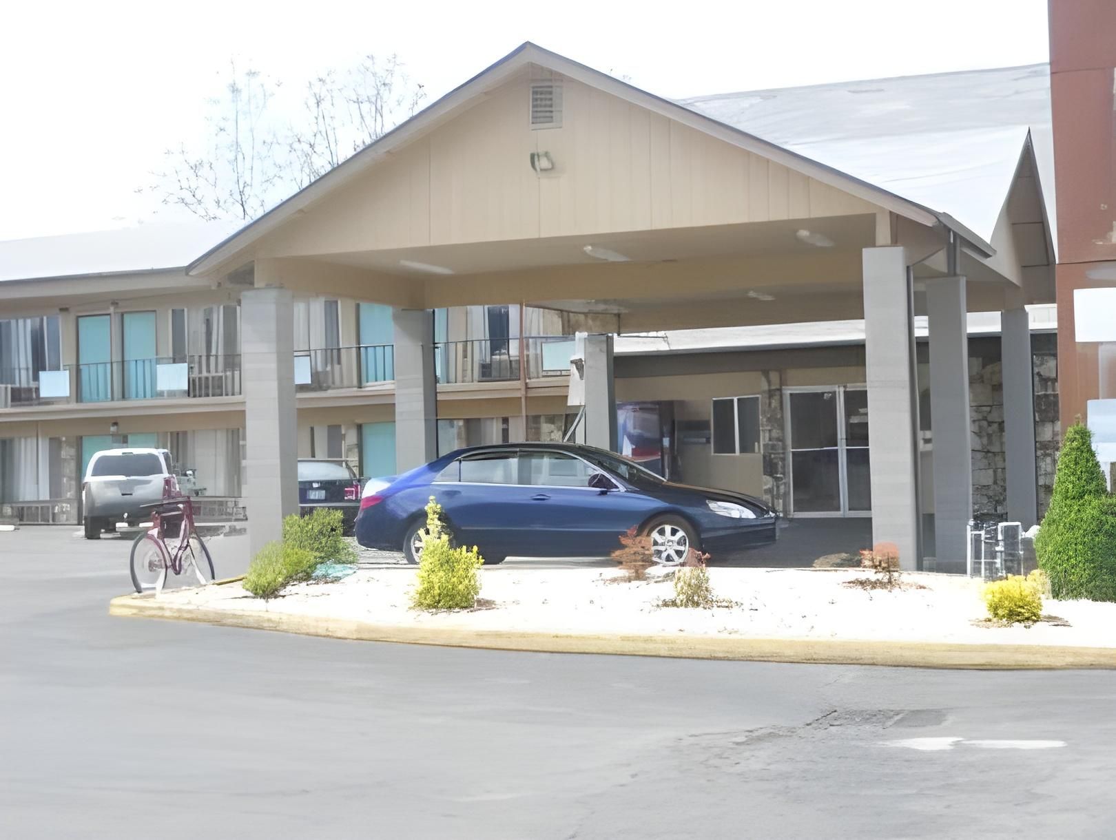 Pine Tree inn