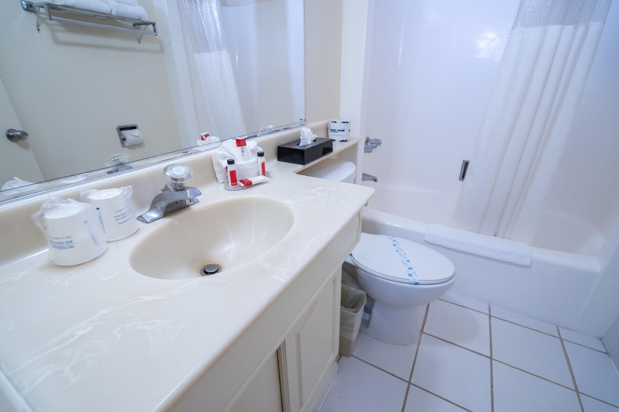 1 King Bed, Studio Suite, Non-Smoking