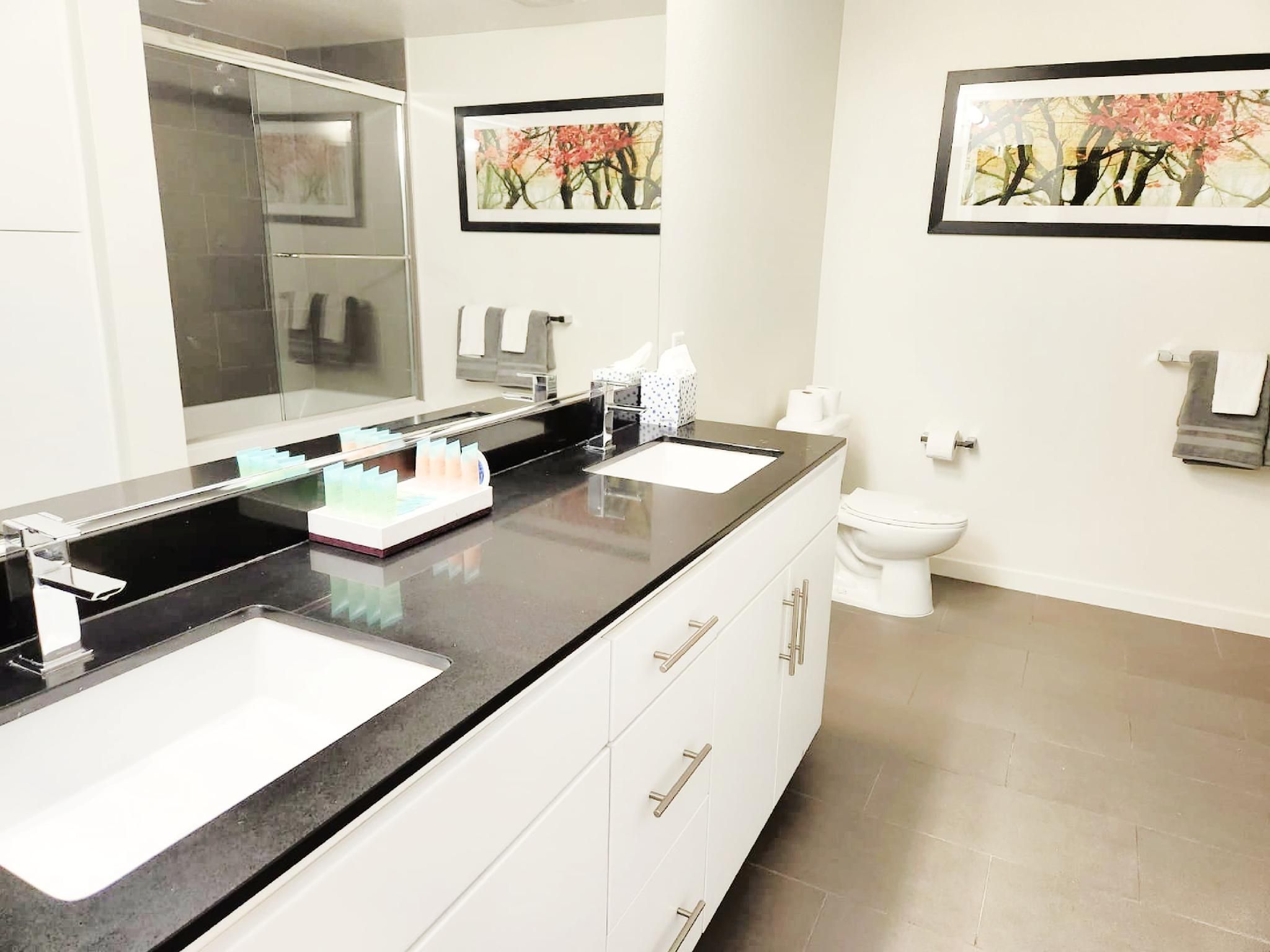 Three Bedroom Apartment