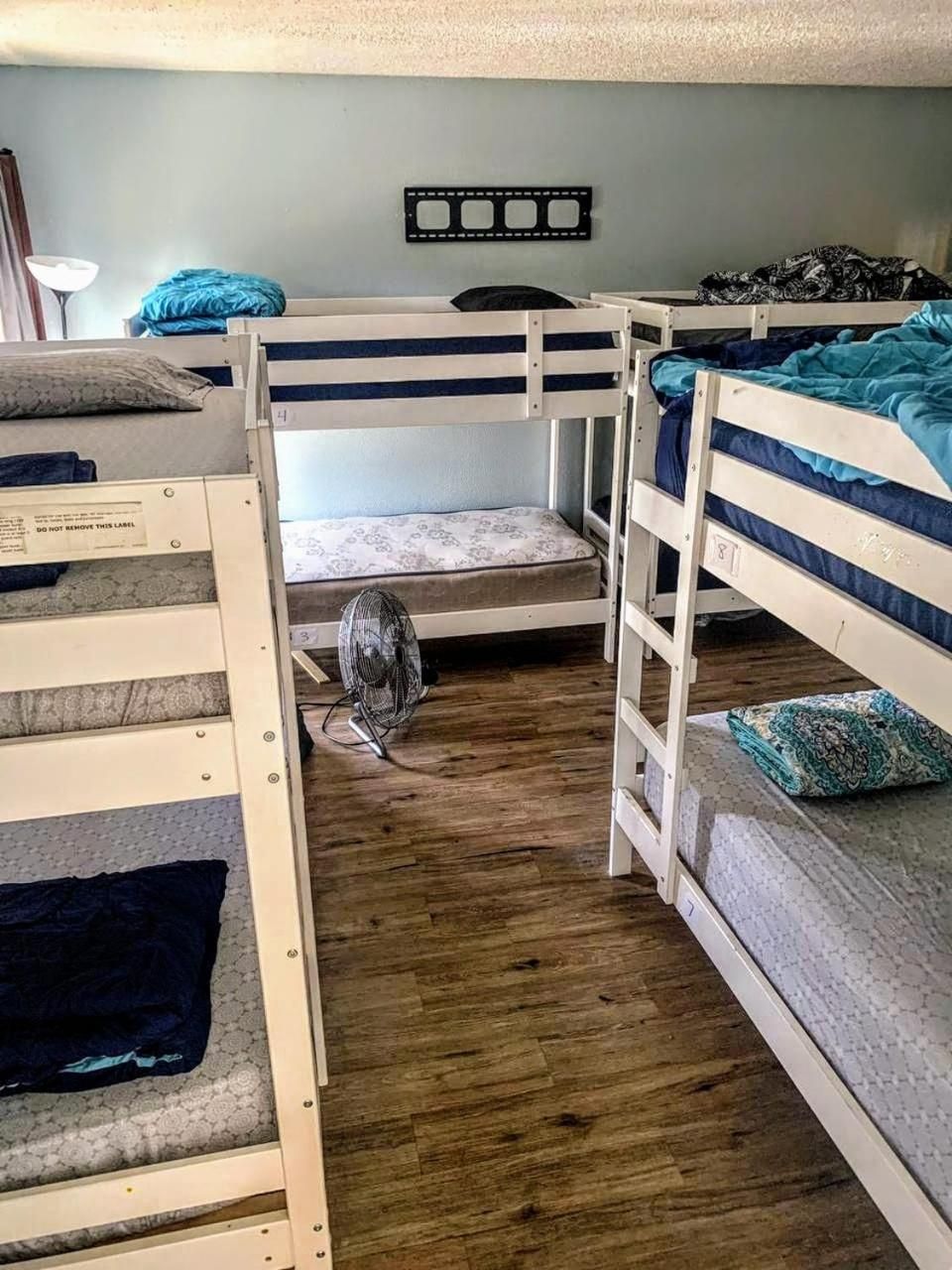 Bunk Bed in Mixed Dormitory Room