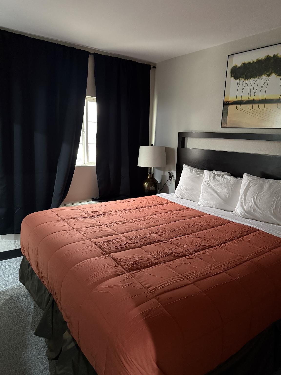 Deluxe Sleeper Suite