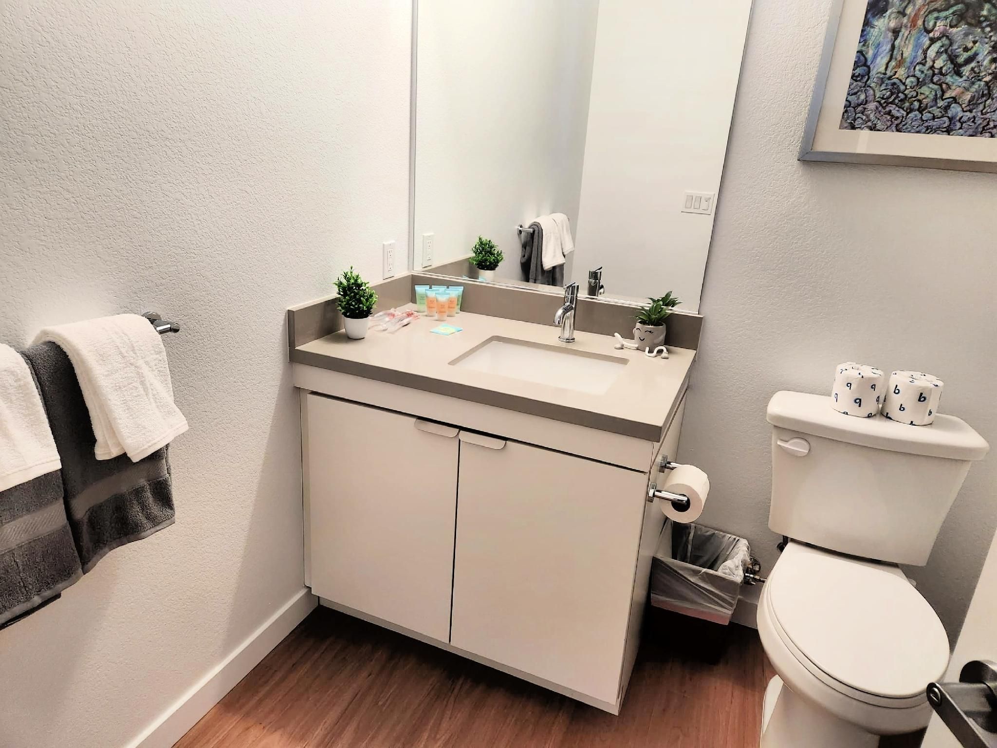 One Bedroom Apartment