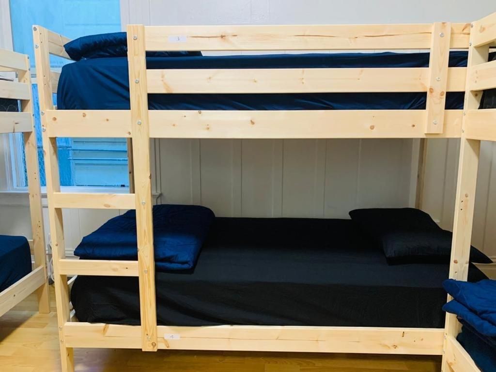 Bunk Bed in Mixed Dormitory Room
