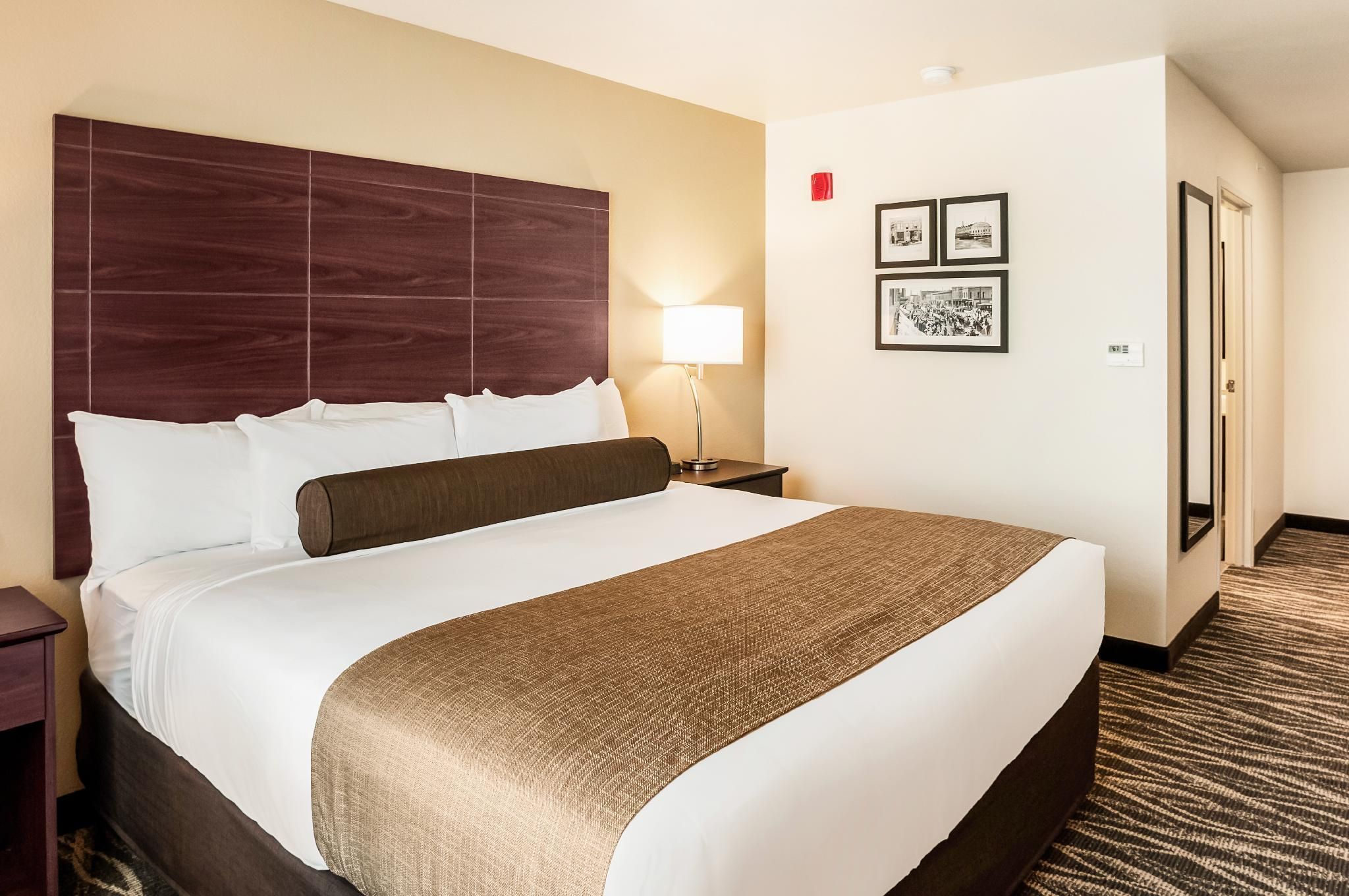 Single King Guestroom Non-Smoking