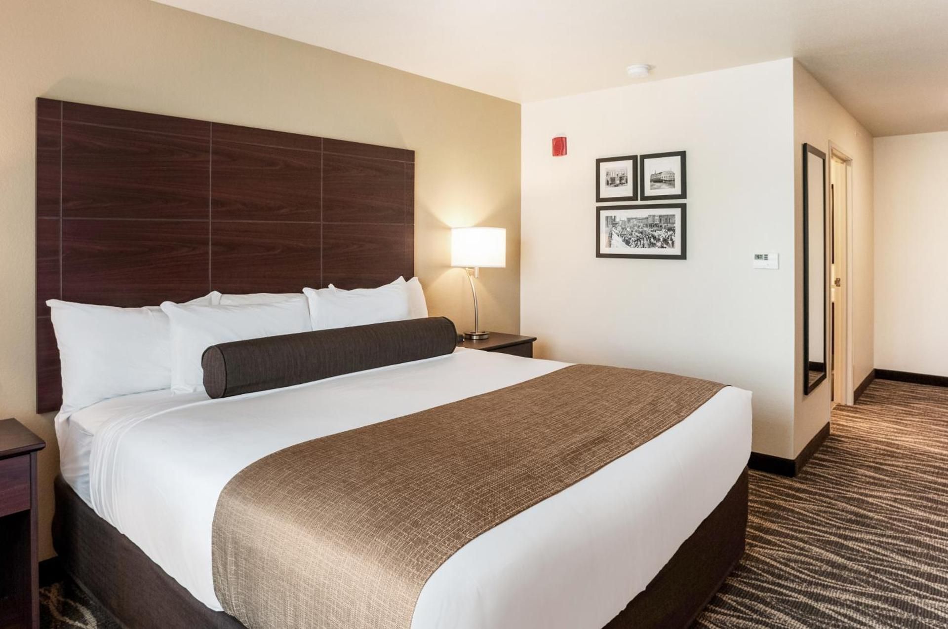 Cobblestone Hotel & Suites - Appleton International Airport King Room 2