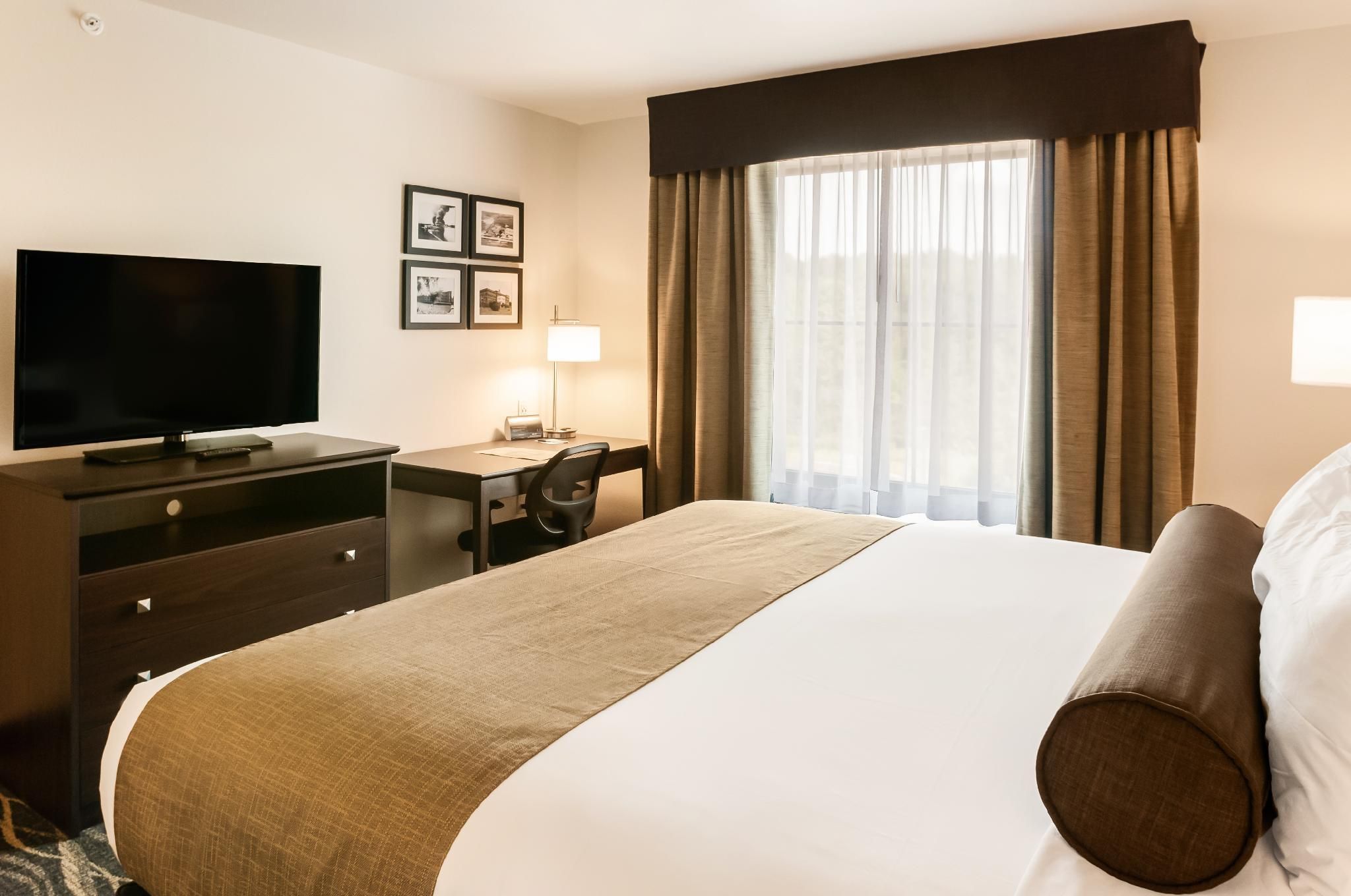 Single King Guestroom Non-Smoking
