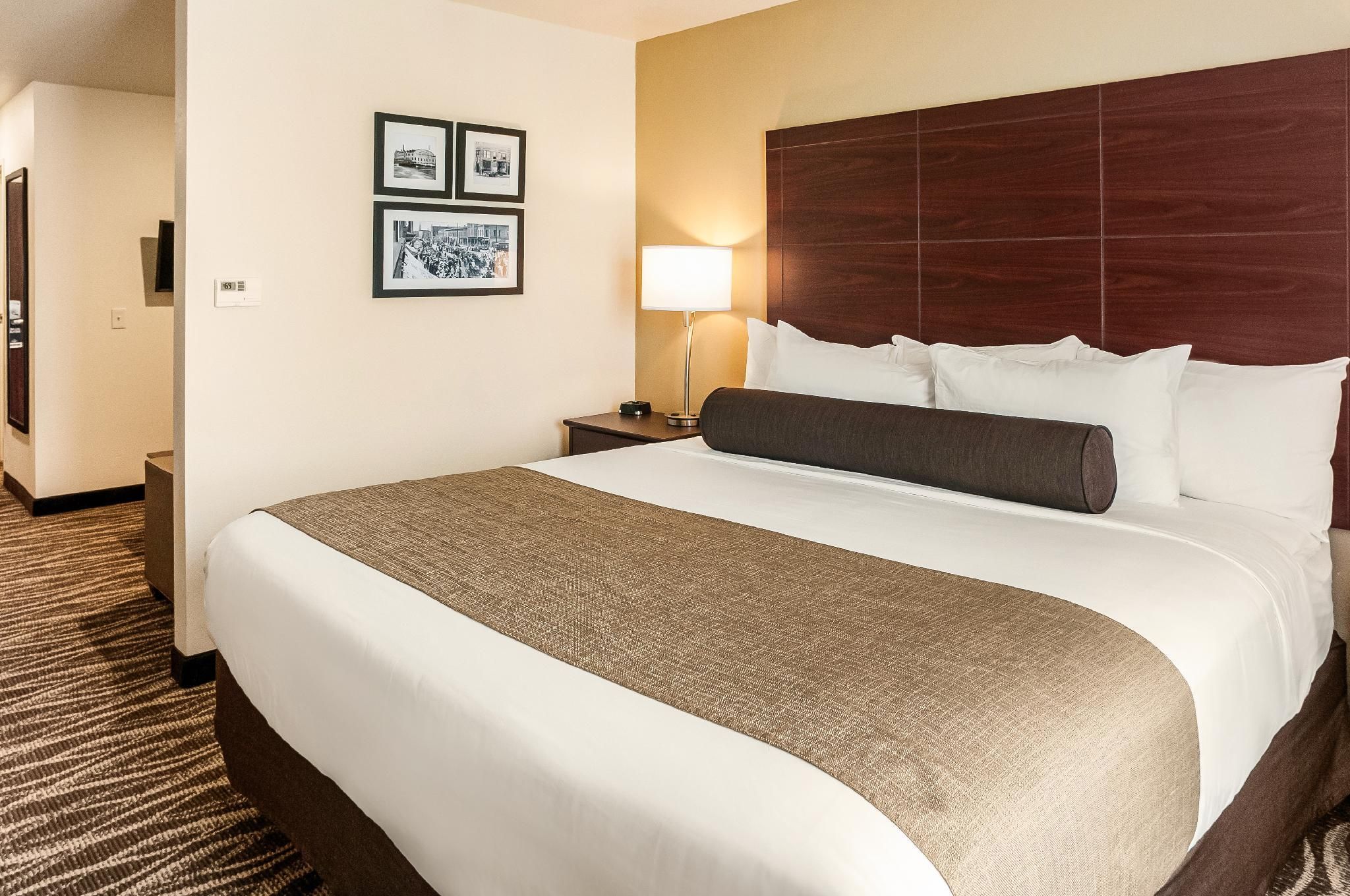 Cobblestone Hotel & Suites - Appleton International Airport Audible/Visual Accessible Single King Studio Suite 2