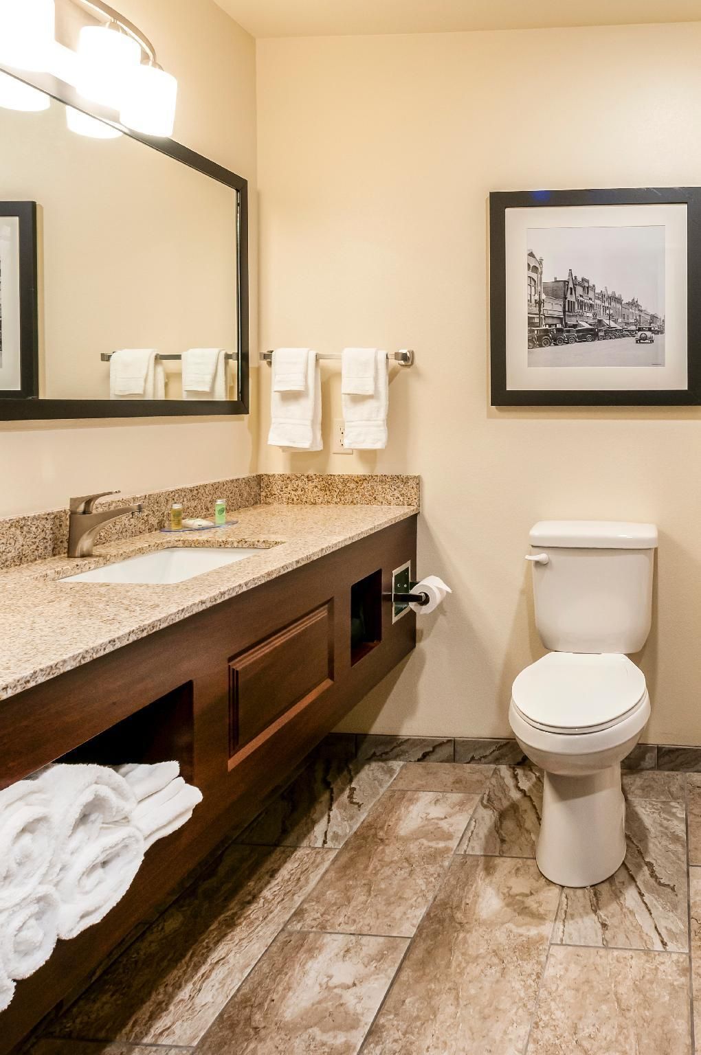 Cobblestone Hotel & Suites - Appleton International Airport Audible/Visual Accessible Single King Studio Suite 3