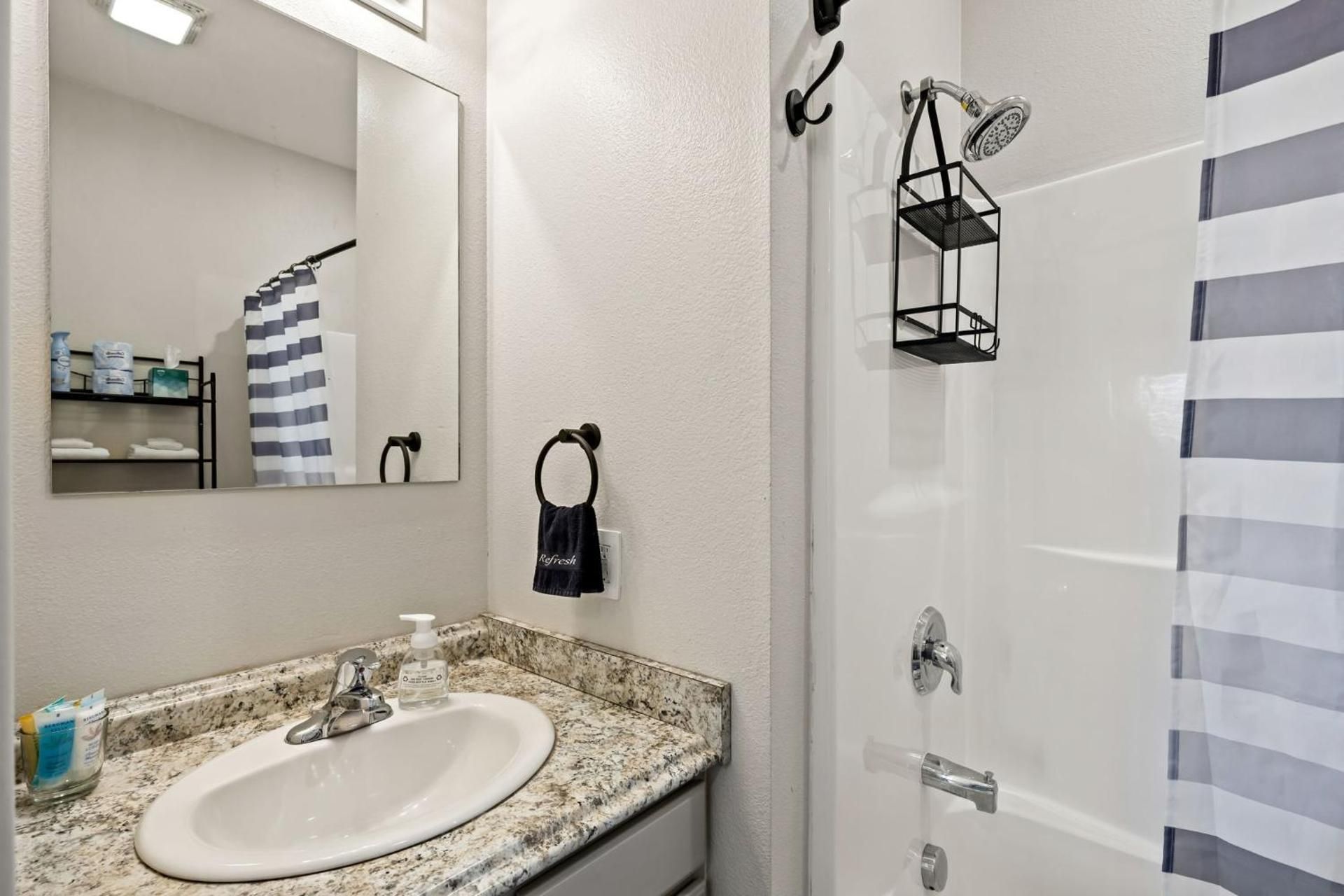 Deluxe One-Bedroom Apartment