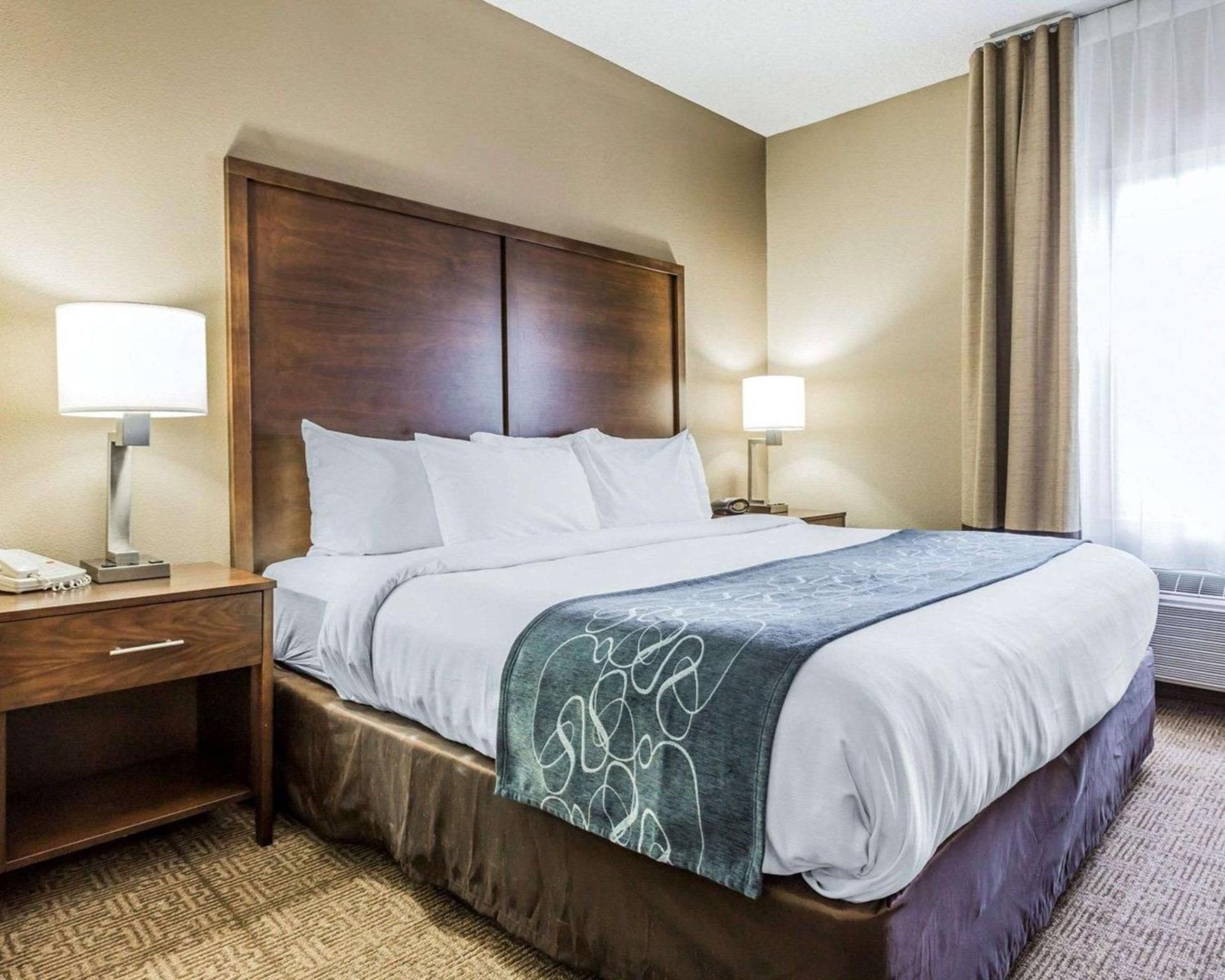 1 King Bed, Suite, Nonsmoking